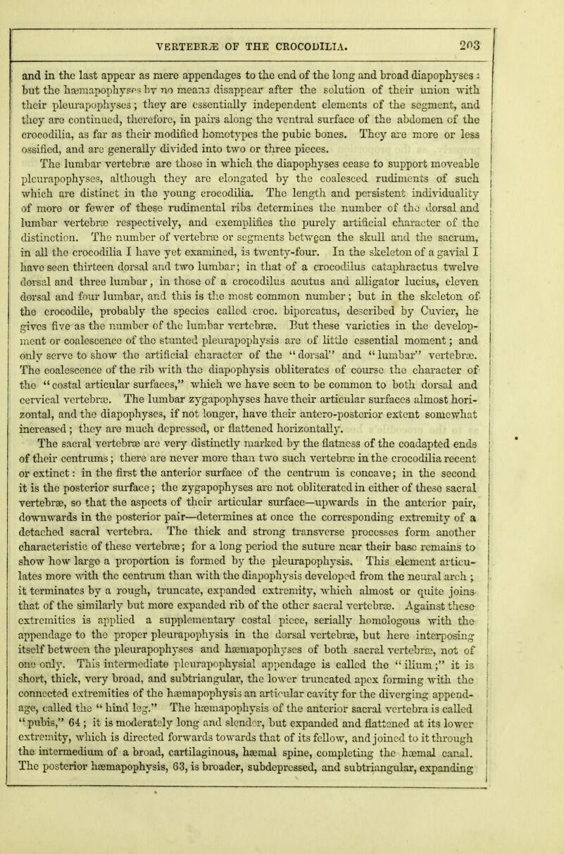 and in the last appear as mere appendages to the end of the long and broad diapophyses : but the hasniapophysf1?; hy no means disappear after the solution of their union with their pleurapophyses; they are essentially independent elements of the segment, and they are continued, therefore, in pahs along the ventral surface of the abdomen of the crocodilia, as far as their modified homotypes the pubic bones. They are more or less ossified, and are generally divided into two or three pieces. The lumbar vertebras are those in which the diapophyses cease to support moveable pleurapophyses, although they are elongated by the coalesced rudiments of such which are distinct in the young crocodilia. The length and persistent individuality of more or fewer of these rudimental ribs determines the number of the dorsal and lumbar vertebrae respectively, and exemplifies the purely artificial character of the distinction. The number of vertebras or segments betwgen the skull and the sacrum, j in all the crocodilia I have yet examined, i3 twenty-four. In the skeleton of a gavial I have seen thirteen dorsal and two lumbar; in that of a crocodilus cataphractus twelve dorsal and three lumbar, in those of a crocodilus acutus and alligator lucius, eleven j dorsal and four lumbar, and this is the most common number; but in the skeleton of the crocodile, probably the species called croc, biporcatus, described by Cuvier, he gives five- as the number of the lumbar vertebras. But these varieties in the develop- ment or coalescence of the stunted pleurapophysis are of little essential moment; and only serve to show the artificial character of the dorsal and lumbar vertebroo. The coalescence of the rib with the diapophysis obliterates of course the character of the costal articular surfaces, which we have seen to be common to both dorsal and cervical vertebras. The lumbar zygapophyses have their articular surfaces almost hori- zontal, and the diapophyses, if not longer, have their antero-postcrior extent somewhat increased; they are much depressed, or flattened horizontally. The sacral vertebras are very distinctly marked by the flatness of the coadapted ends j of their centrums; there are never more than two such vertebras in the crocodilia recent or extinct: in the first the anterior surface of the centrum is concave; in the second it is the posterior surface; the zygapophyses are not obliterated in either of these sacral vertebras, so that the aspects of their articular surface—upwards in the anterior pah, downwards in the posterior pair—determines at once the corresponding extremity of a detached sacral vertebra. The thick and strong transverse processes form another characteristic of these vertebras; for a long period the suture near their base remains to show how large a proportion is formed by the pleurapophysis. This element articu- lates more with the centrum than with the diapophysis developed from the neural arch \ it terminates by a rough, truncate, expanded extremity, which almost or quite joins- that of the similarly but more expanded rib of the other sacral vertebras. Against these extremities is applied a supplementary costal piece, serially homologous with the j appendage to the proper pleurapophysis in the dorsal vertebras, but here interposing ; itself between the pleurapophyses and hasniapophyscs of both sacral vertebras, not of one only. This intermediate pleurapophysial appendage is called the  ilium; it is ! short, thick, very broad, and sub triangular, the lower truncated apex forming with the connected: extremities of the hasmapophysis an articular cavity for the diverging append- ! age, called the  hind leg. The hasmapophysis of the anterior sacral vertebra is called  pubis, 64; it is moderately long and slender, but expanded and flattened at its lower extremity, which is directed forwards towards that of its fellow, and joined to it through the intermedium of a broad, cartilaginous, hasmal spine, completing the hasmal canal. The posterior heemapophysis, 63, is broader, subdepressed, and subtriangular, expanding