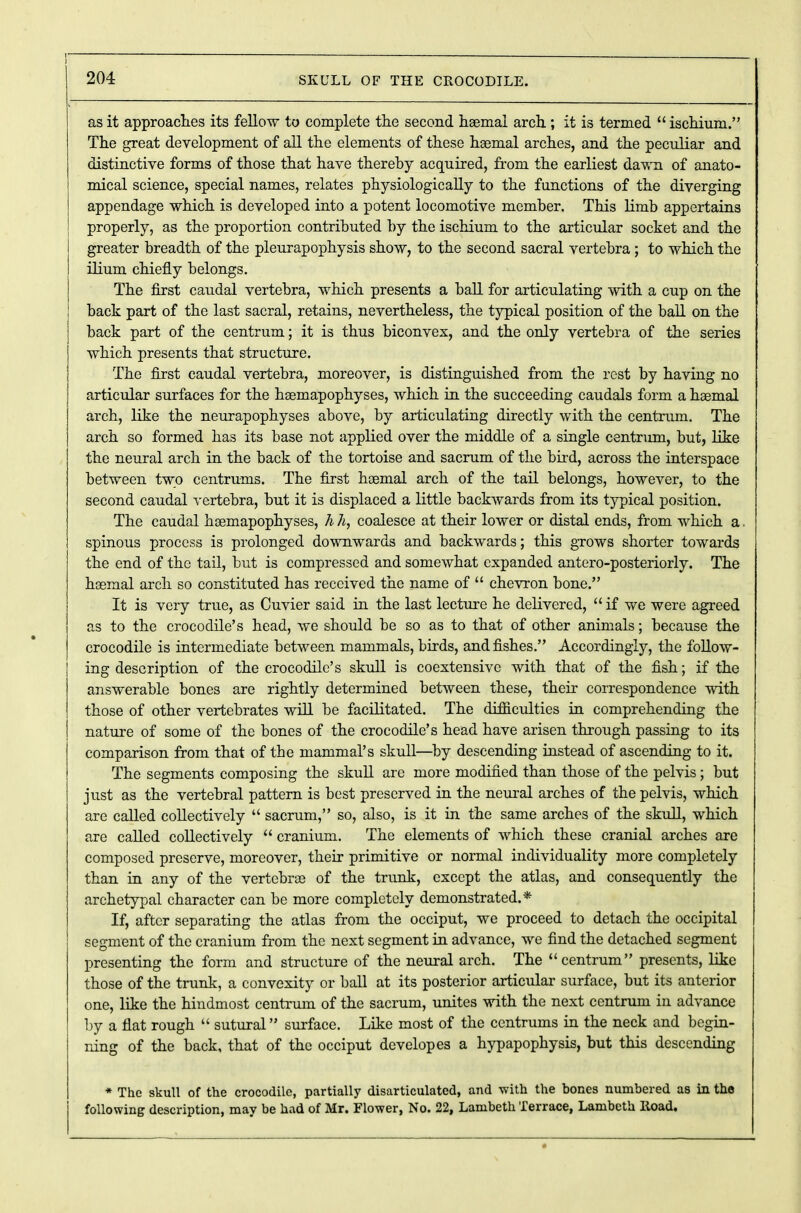 as it approaches its fellow to complete the second haemal arch; it is termed  ischium. The great development of all the elements of these haemal arches, and the peculiar and distinctive forms of those that have thereby acquired, from the earliest dawn of anato- mical science, special names, relates physiologically to the functions of the diverging appendage which is developed into a potent locomotive member. This limb appertains properly, as the proportion contributed by the ischium to the articular socket and the greater breadth of the pleurapophysis show, to the second sacral vertebra; to which the ilium chiefly belongs. The first caudal vertebra, which presents a ball for articulating with a cup on the back part of the last sacral, retains, nevertheless, the typical position of the ball on the back part of the centrum; it is thus biconvex, and the only vertebra of the series which presents that structure. The first caudal vertebra, moreover, is distinguished from the rest by having no articular surfaces for the haemapophyses, which in the succeeding caudals form a haemal arch, like the neurapophyses above, by articulating directly with the centrum. The arch so formed has its base not applied over the middle of a single centrum, but, like the neural arch in the back of the tortoise and sacrum of the bird, across the interspace between two centrums. The first haemal arch of the tail belongs, however, to the second caudal vertebra, but it is displaced a little backwards from its typical position. The caudal haemapophyses, h h, coalesce at their lower or distal ends, from which a. spinous process is prolonged downwards and backwards; this grows shorter towards the end of the tail, but is compressed and somewhat expanded antero-posteriorly. The hsemal arch so constituted has received the name of  chevron bone. It is very true, as Cuvier said in the last lecture he delivered,  if we were agreed as to the crocodile's head, we should be so as to that of other animals; because the crocodile is intermediate between mammals, birds, and fishes. Accordingly, the follow- ing description of the crocodile's skull is coextensive with that of the fish; if the answerable bones are rightly determined between these, their correspondence with those of other vertebrates will be facilitated. The difficulties in comprehending the nature of some of the bones of the crocodile's head have arisen through passing to its comparison from that of tbe mammal's skull—by descending instead of ascending to it. The segments composing the skull are more modified than those of the pelvis; but just as the vertebral pattern is best preserved in the neural arches of the pelvis, which are called collectively  sacrum, so, also, is it in the same arches of the skull, which are called collectively  cranium. The elements of which these cranial arches are composed preserve, moreover, their primitive or normal individuality more completely than in any of the vertebrae of the trunk, except the atlas, and consequently the archetypal character can be more completely demonstrated.* If, after separating the atlas from the occiput, we proceed to detach the occipital segment of the cranium from the next segment in advance, we find the detached segment presenting the form and structure of the neural arch. The centrum presents, like those of the trunk, a convexity or ball at its posterior articular surface, but its anterior one, like the hindmost centrum of the sacrum, unites with the next centrum in advance by a flat rough  sutural surface. Like most of the centrums in the neck and begin- ning of the back, that of the occiput developes a hypapophysis, but this descending * The skull of the crocodile, partially disarticulated, and with the bones numbered as in the following description, may be had of Mr. Flower, No. 22, Lambeth Terrace, Lambeth lload.