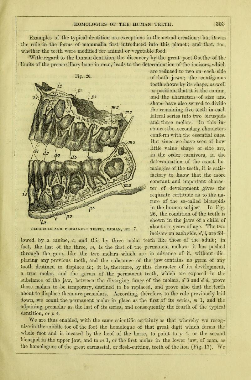 Examples of the typical dentition are exceptions in the actual creation ; but it vra.s the rule in the forms of mammalia first introduced into this planet; and that, too, whether the teeth were modified for animal or vegetable food. With regard to the human dentition, the discovery by the great poet Goethe of the limits of the prcmaxillary bone in man, leads to the determination of the incisors, which lowed by a canine, c, and this by three molar teeth like those of the adult; in fact, the last of the three, m, is the first of the permanent molars; it has pushed through the gum, like the two molars which arc in advance of it, without dis- placing any previous tooth, and the substance of the jaw contains no germ of any tooth destined to displace it; it is, therefore, by this character of its development, a true molar, and the germs of the permanent teeth, which are exposed in the substance of the jaw, between the diverging fangs of the molars, d 3 and d 4, prove those molars to be temporary, destined to be replaced, and prove also that the teeth about to displace them are premolars. According, therefore, to the rule previously laid down, we count the permanent molar in place as the first of its series, m 1, and the adjoining premolar as the last of its series, and consequently the fourth of the typical dentition, oy p 4. We are thus enabled, with the same scientific certainty as that whereby we recog- nise in the middle toe of the foot the homologue of that great digit which forms the whole foot and is incased by the hoof of the horse, to point to p or the second bicuspid in the upper jaw, and to m 1, or the first molar in the lower jaw, of man, as the homologues of the great carnassial, or flesh-cutting, teeth of the lion (Fig. 17). We DECIDUOUS AND PERMANENT TEETH, HUMAN, iET. 7 Fig. 26. arc reduced to two on each side of both jaws ; the contiguous tooth shows by its shape, as well as position, that it is the canine, and the characters of size and shape have also served to divide the remaining five teeth in each lateral series into two bicuspids and three molars. In this in- stance the secondary characters conform with the essential ones. But since we have seen of how little value shape or size are, in the order carnivora, in the determination of the exact ho- mologies of the teeth, it is satis- factory to know that the more constant and important charac- ter of development gives the requisite certitude as to the na- ture of the so-called bicuspids in the human subject. In Fig. 26, the condition of the teeth is shown in the jaws of a child of about six years of age. The two incisors on each side, d, i, are fol-