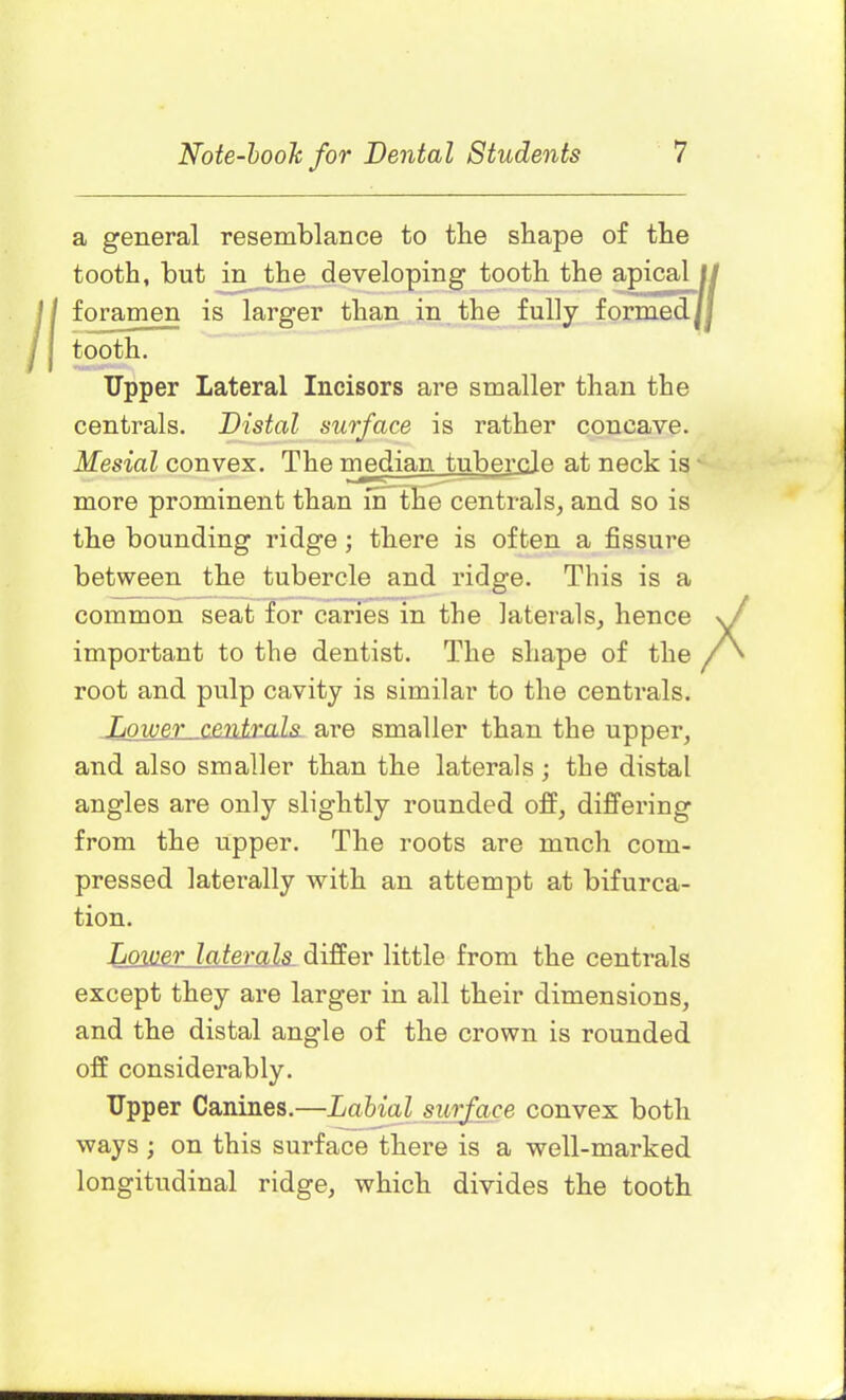 ll a general resemblance to the shape of the tooth, but in the developing tooth the apical foramen is larger than in the fully formed] tooth. Upper Lateral Incisors are smaller than the centrals. Distal surface is rather concave. Mesial convex. The median tubercle at neck is more prominent than in the centrals, and so is the bounding ridge; there is often a fissure between the tubercle and ridge. This is a common seat for caries in the laterals, hence w important to the dentist. The shape of the / \ root and pulp cavity is similar to the centrals. Lower centrals, are smaller than the upper, and also smaller than the laterals; the distal angles are only slightly rounded off, differing from the upper. The roots are much com- pressed laterally with an attempt at bifurca- tion. Lower laterals differ little from the centrals except they are larger in all their dimensions, and the distal angle of the crown is rounded off considerably. Upper Canines.—Labial surface convex both ways ; on this surface there is a well-marked longitudinal ridge, which divides the tooth