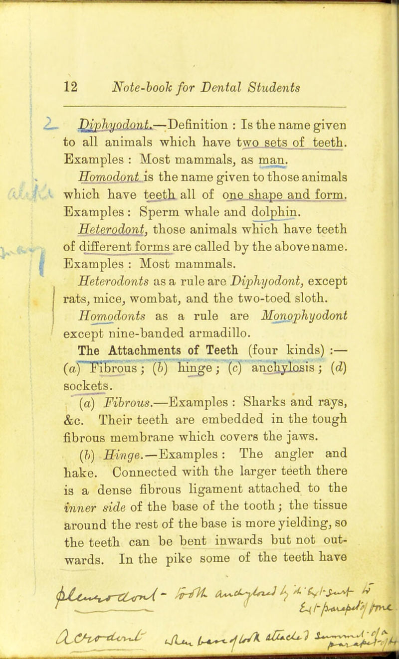 DiphyodonL—Definition : Is the name given to all animals which have two sets of teeth. Examples : Most mammals, as man. Homodont is the name given to those animals which have teeth all of one shape and form. Examples : Sperm whale and dolphin. Heterodont, those animals which have teeth of different forms are called by the above name. Examples : Most mammals. Heterodonts as a rule are Diphyodont, except rats, mice, wombat, and the two-toed sloth. Homodonts as a rule are Monophyodont except nine-banded armadillo. The Attachments of Teeth (four kinds) :— (a) fibrous ; (b) hinge; (c) anchylosis; (d) sockets. (a) Fibrous.—Examples : Sharks and rays, &c. Their teeth are embedded in the tough fibrous membrane which covers the jaws. (b) Hinge.-— Examples : The angler and hake. Connected with the larger teeth there is a dense fibrous ligament attached to the inner side of the base of the tooth j the tissue around the rest of the base is more yielding, so the teeth can be bent inwards but not out- wards. In the pike some of the teeth have ' ~ •’ /tux