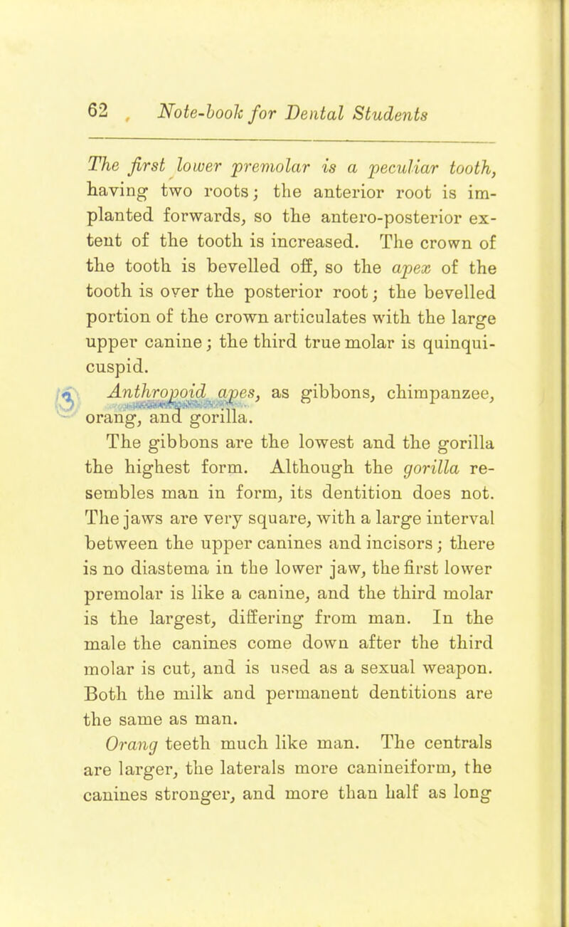 The first lower premolar is a peculiar tooth, having two roots; the anterior root is im- planted forwards, so the antero-posterior ex- tent of the tooth is increased. The crown of the tooth is bevelled off, so the apex of the tooth is over the posterior root; the bevelled portion of the crown articulates with the large upper canine; the third true molar is quinqui- cuspid. The gibbons are the lowest and the gorilla the highest form. Although the gorilla re- sembles man in form, its dentition does not. The jaws are very square, with a large interval between the upper canines and incisors; there is no diastema in the lower jaw, the first lower premolar is like a canine, and the third molar is the largest, differing from man. In the male the canines come down after the third molar is cut, and is used as a sexual weapon. Both the milk and permanent dentitions are the same as man. Orang teeth much like man. The centrals are larger, the laterals more canineiform, the canines stronger, and more than half as long gibbons, chimpanzee.