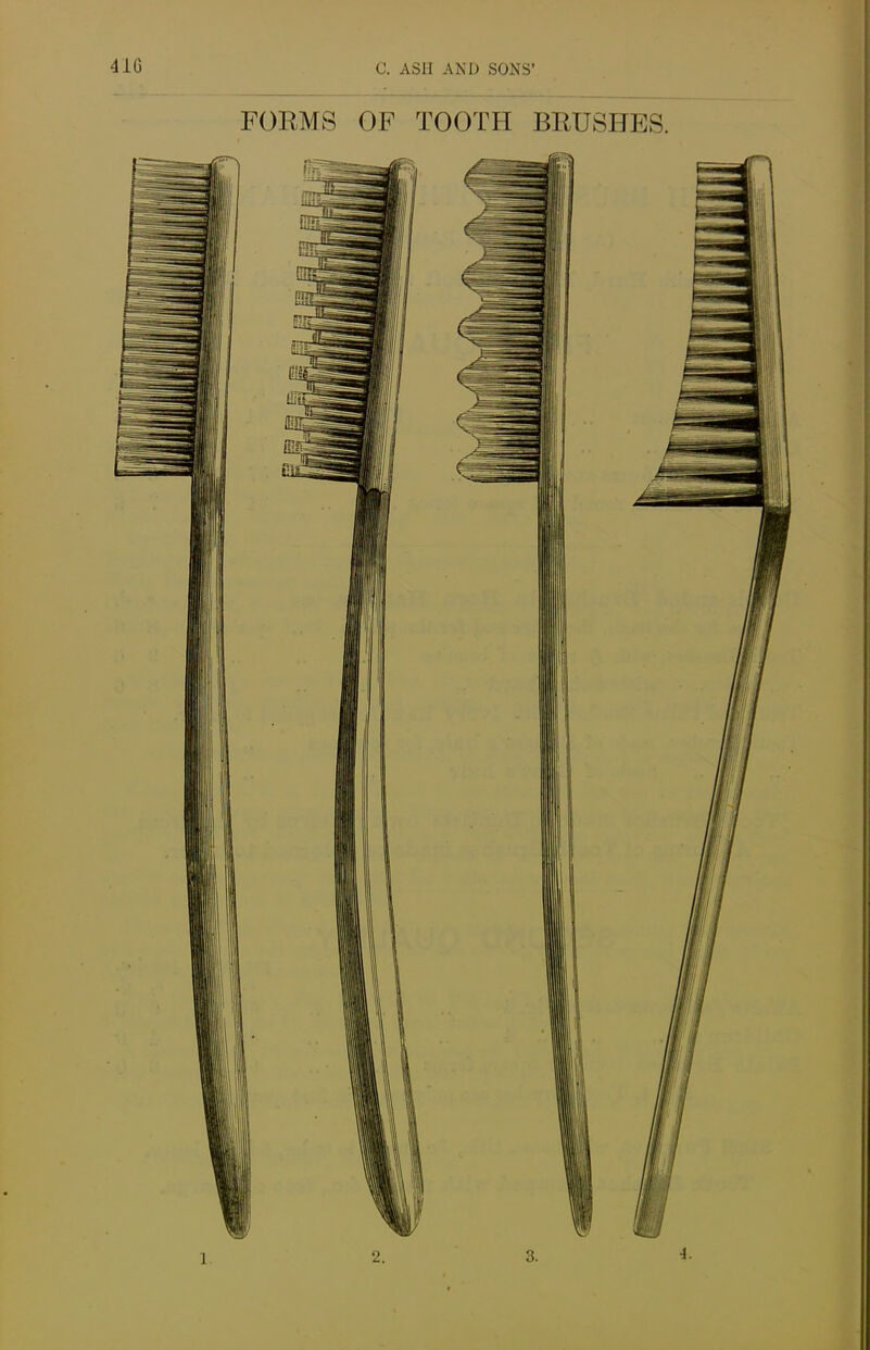 FOEMS OF TOOTH BRUSHES.