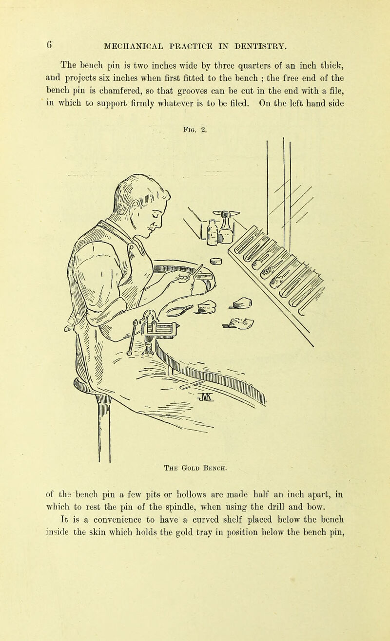 G The bench pin is two inches wide by three quarters of an inch thick, and projects six inches when first fitted to the bench ; the free end of the bench pin is chamfered, so that grooves can be cut in the end with a file, in which to support firmly whatever is to be filed. On the left hand side Fig. 2. The Gold Bench. of the bench pin a few pits or hollows are made half an inch apart, in which to rest the pin of the spindle, when using the drill and bow. It is a convenience to have a curved shelf placed below the bench inside the skin which holds the gold tray in position below the bench pin,