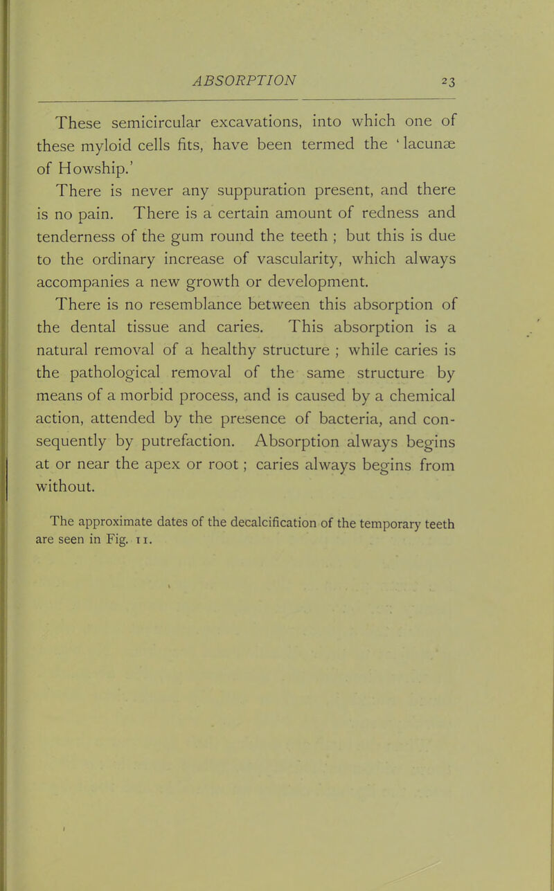 These semicircular excavations, into which one of these myloid cells fits, have been termed the ' lacunae of Howship.' There is never any suppuration present, and there is no pain. There is a certain amount of redness and tenderness of the gum round the teeth ; but this is due to the ordinary increase of vascularity, which always accompanies a new growth or development. There is no resemblance between this absorption of the dental tissue and caries. This absorption is a natural removal of a healthy structure ; while caries is the pathological removal of the same structure by means of a morbid process, and is caused by a chemical action, attended by the presence of bacteria, and con- sequently by putrefaction. Absorption always begins at or near the apex or root; caries always begins from without. The approximate dates of the decalcification of the temporary teeth are seen in Fig. t i.