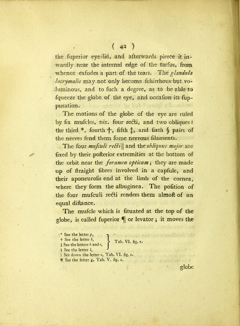 lacrymalis may not only become fchirrhous but vo- luminous, and to fuch a degree, as to be able to fqueeze the globe of the eye, and occalron its fup- puration. The motions of the globe of the eye are ruled by fix mufcles, viz, four re<£fi, and two obliques: the third *, fourth 'fq fifth J, and fixth § pairs of the nerves fend them fome nervous filaments. The four mufculi reffii || and the obliquus major are fixed by their pofterior extremities at the bottom of the orbit near the foramen opticum; they are made up of ftraight fibres involved in a capfule, and their aponeurofis end at the limb of the cornea, where they form the albuginea. The pofition of the four mufculi redli renders them almoft of an equal diflance. The mufcle which is fituated at the top of the globe, is called fuperior or levator ; it moves the • w* * See the letter p, t See the letter k, J See the letters b and e, S See the letter l, || See down the letter e, Tab. VI. fig. 2. See the letter g. Tab. V. fig. 2.