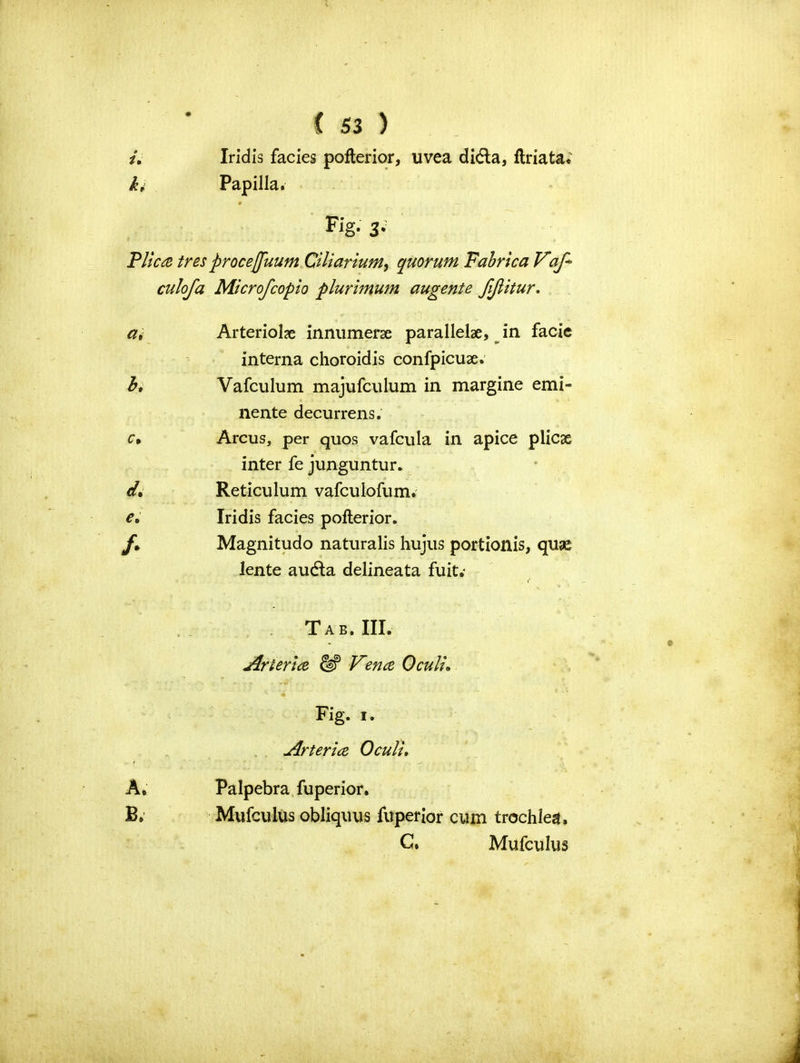 i, Iridis facies pofterior, uvea di<5la, ftriata* k; Papilla. Fig- 3- Plica tres procejjuum Ciliarium, quorum Fabrica Vaf* culofa Microfcopio plurimum augente JiJUtur. Arteriole innumer# parallel#, in facie interna choroidis confpicuae. b, Vafculum majufculum in margine emi- nente decurrens. c. Arcus, per quos vafcula in apice plicae inter fe junguntur. Reticulum vafculofum. e, Iridis facies pofterior. f* Magnitudo naturalis hujus portionis, quae lente audla delineata fuit.* Tab. III. Arteria W Vena OculL Fig. i. Arteria Oculi. A. Palpebra fuperior. B» Mufculus obliquus fuperior cum trochlea. C. Mufculus