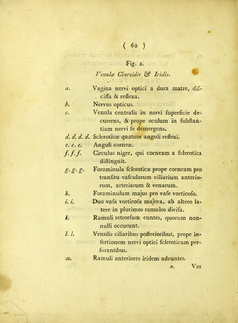 ( <So ) Fig. 2. Venula Choroidis Iridis. b. c. g- £- £- L i. L l L a. Vagina nervi optici a dura matre, dif- . cifla & reflexa. Nervus opticus. Venula centralis in nervi fuperficie de- currens, & prope oculum in fubftan- tiam nervi fe demergens. d. d. d. d. Sclerotica^ quatuor anguli reflexi. e. e. e. Anguli corneas. f. f. f. Girculus niger, qui corneam a fclerotica •diflinguit. Foraminula fcleroticae prope corneam pro tranfltu vafculorum ciliarium anterio- rum, arteriarum & venarum. Foraminulum majus pro vafe vorticofo. Duo vafa vorticofa majora, ab altero la- tere in plurimos ramulos divifa. Ramuli retrorfum euntes, quorum non- nulli occurunt. Venulis ciliaribus pofterioribus, prope in- fertionem nervi optici fcleroticam per- forantibus. Ramuli anteriores iridem adeuntes. 72. Vas m*