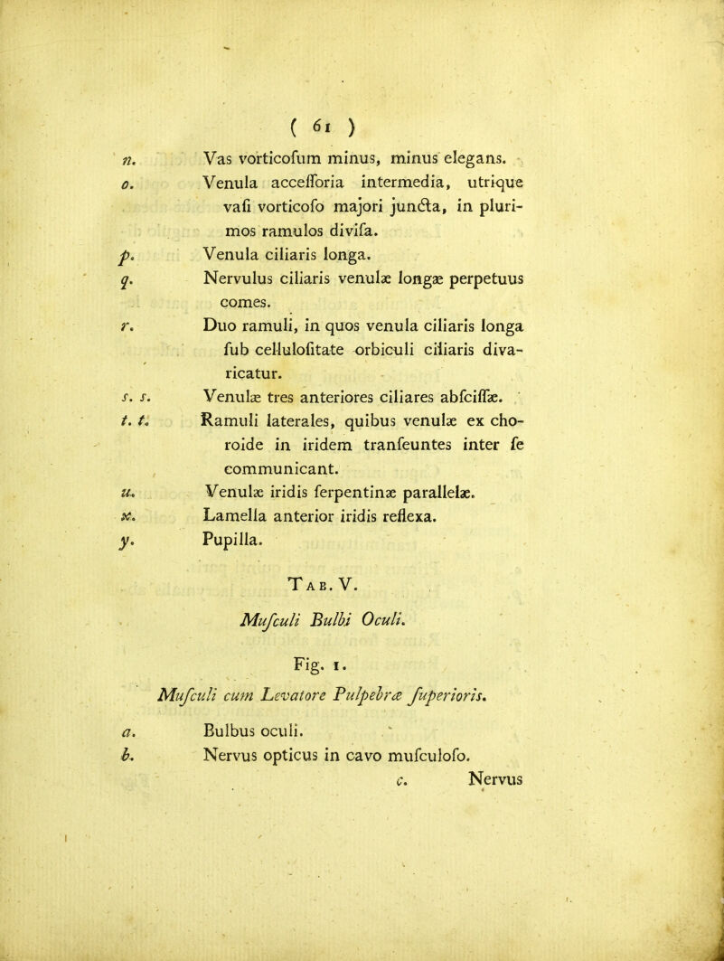 n. o. a t- r« s. s. t. t„ tu X. y- Cl. L ( ) Vas vorticofum minus, minus elegans. Venula accefforia intermedia, utrique vafi vorticofo majori jundla, in pluri- mos ramulos divifa. Venula ciliaris longa. Nervulus ciliaris venulae longae perpetuus comes. Duo ramuli, in quos venula ciliaris longa fub cellulofitate orbiculi ciliaris diva- ricatur. Venulae tres anteriores ciliares abfciffae. Ramuli laterales, quibus venulae ex cho- roide in iridem tranfeuntes inter fe communicant. Venulae iridis ferpentinae parallelae. Lamella anterior iridis reflexa. Pupilla. Tab.V. Mufculi Bulbi OculL Fig. i. Mufculi cum Levatore Pulpehrce fupertoris. Bulbus oculi. Nervus opticus in cavo mufculofo. c. Nervus