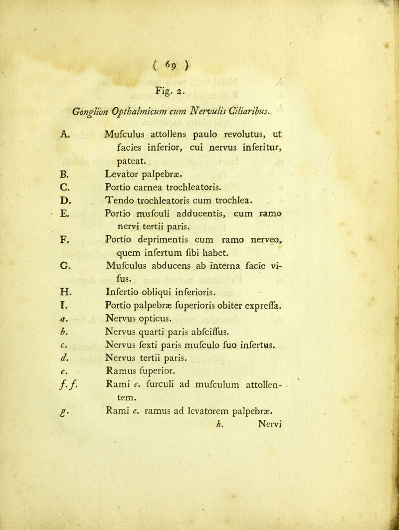 ( «9 ) Fig. 2. Gonglion Opthalmicum cum Nervulis Ciliartbus. A. Mufculus attollens paulo revolutus, ut facies inferior, cui nervus inferitur, pateat. B. Levator palpebrae. G. Portio carnea trochleatoris. D. Tendo trochleatoris cum trochlea. E. Portio mufcuii adducentis, cum ramo nervi tertii paris. F. Portio deprimentis cum ramo nerveo, -quern infertum fibi habet. G. Mufculus abducens ab interna facie vi- fus. H. Infertio obliqui inferioris. f. Portio palpebras fuperioris obiter exprefla. a. Nervus opticus. b. Nervus quarti paris abfciflus. c. Nervus fexti paris mufculo fuo infertus. d. Nervus tertii paris. e. Ramus fuperior. /./. Rami e. furculi ad mufculum attollen- tern. g. Rami e. ramus ad levatorem palpebrse. h, Nervi