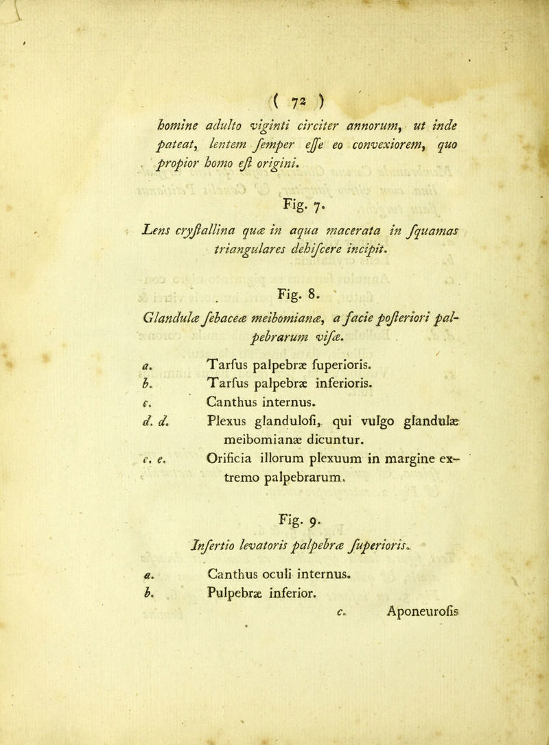 ( 73 ) homine adulto viginti circiter annorum, ut inde pat eat, lentem femper ejfe eo convexiorem, quo propior homo ejl origini. Fig. 7. Lens cryjlallina quae in aqua macerata in fquamas triangulares dehifcere incipit. Fig. 8. Glandules Jebace# meibomian#, a facie pojleriori pal- pebrarum vif#. a» Tarfus palpebrae fuperioris. b« Tarfus palpebrse inferioris. e. Canthus internus^ d. de Plexus glandulofi, qui vulgo glandular meibomianse dicuntur. e. e. Orificia illorum plexuum in margine ex- treme palpebrarum. a. k Fig. 9. Jnfertio levatoris palpebne fuperioris. Canthus oculi internus. Pulpebrse inferior. Aponeurofis