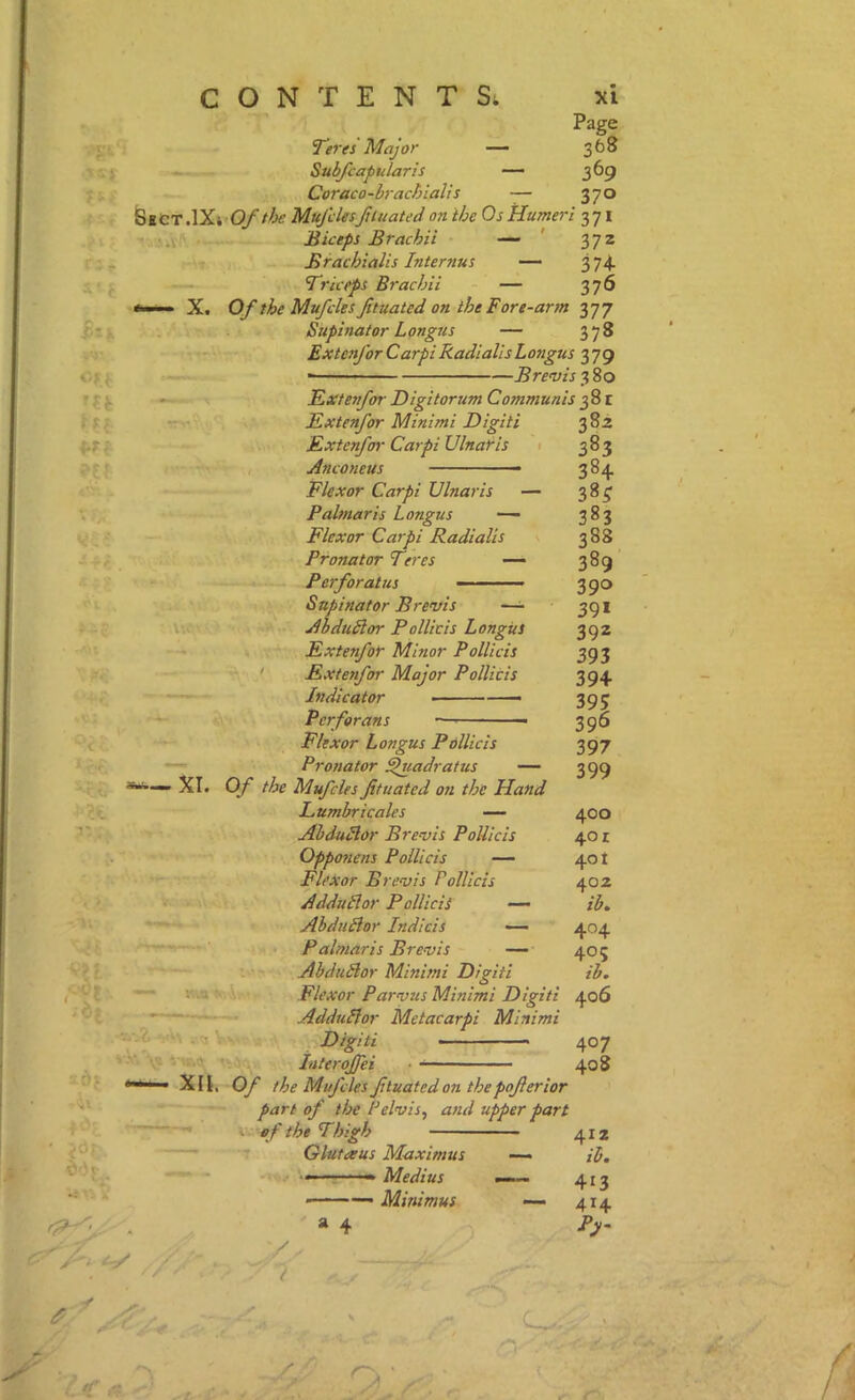 Page 368 369 370 4* i_ Cfi ?e? Tieres Major — Subfcapularh —- Coraco-hrachialis — Sect .\Xi Ofthe Mujllesfuuated on the Os Humeri 371 • Biceps Btachii —. ' 372 Brachialis Internus — 374. - Triceps Brachii — 376 *— X. Of the Mufcles fituated on the Fore-arm 377 Supinator Longus — 378 ExtenforCarpiRadialisLongus 379 ■ Brevis Extenfor Digitorum Communis i Extenfor Minimi Digiti Extenfor Carpi Ulnaris Anconeus Flexor Carpi Ulnaris Palmar is Longus — Flexor Carpi Radialis Pronator Teres Perforatus Supinator Brevis AbduSlor Pollicis Longus Extenfor Minor Pollicis Extenfor Major Pollicis Indicator • ■ ■ ■ —■ Perforans — XI. XII. Flexor Longus Pollicis Pronator ^uadratus — Of the Mufcles fituated on the Hand Lumhricales — AhduHor Brevis Pollicis Oppotiens Pollicis — Flexor Brevis Pollicis AdduSlor Pollicis — Ahdudlor Indicis — Palmar is Brevis — AhduSlor Minimi Digiti Flexor Parvus Minimi Digiti AdduBor Metacarpi Minimi Digiti • ■ Interojfei 382 383 384 38^ 383 388 389 390 39* 392 393 394 39? 396 397 399 400 40 z 401 402 ib, 404 405 ib. 406 r-' Of the Mujl les fituated on the pofierior part of the Pelvis^ and upper part 407 408 of the Thigh Gluteeus Maximus • Medius Minimus 412 ib, 413 414 € - (