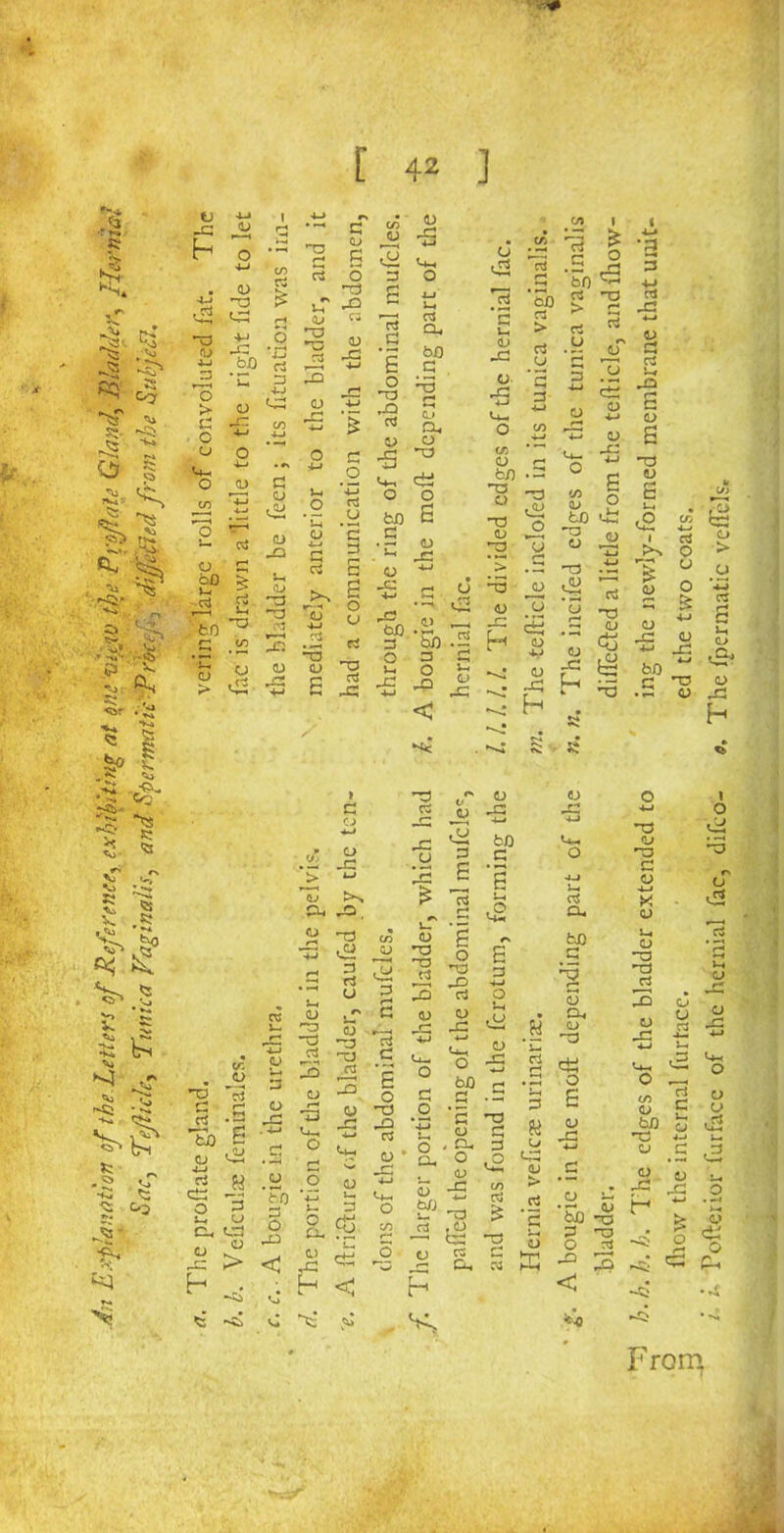 4n Explanation of the Letters of Reference, exhibiting at one viaiv the Preflate Gland, Bladder, Hernh Sac, Tejiicle, Tunica Vaginalis, and Spermatic Proa, dijjeffied from the SubjeEL 8 V -3 h 3 1 . <u <3 C/D rt r*o G £ FT ”0 d> Jh <u r_o #•* 3 CL) CO <D <U -5 • C/D CA 13 #G l £ l+H 6 °pq £ 4—1 J-« '-ri f—« .S ‘5b Tf) as > T3 r~* CZ OS *5 Vh rt J3 ft -L-* •G cn X! o bO rt 'c 5 3 3 aj -3 <3 o -3 o 3 *3) - bO 3 , OJ jC 3 u u r—■ o -3 3 3 <3 3 a '—4 -3 . w 3 3 -3 o cd o bO 3 O -3 Ul <u & rt i-i i-i a/ 33 3 3 3 3 to 3 £ — H o _c (D -3 o G ~o u -2 ’-3 (J 3 <L> to <£: *3 £ <5 i .o -t3 .g d> > -a -a £ -S O a w .3 ^ *■3 UJ <U u ’u <U r-* ‘to .5 3 3 0 0 H <u The i JG •*-< -3 % -3 •3 .s KU; <L> cu 1 G3 r> ej G a; -3 CJ r~| 4-1 4-J 5 to CO -G ut y rj 3 £ 3 ‘g i* ■< aS ii rJQ. l- r~^ l£ -C u, o 1-1 rt a. •xs <u 33 3 O o <u 3 CO 1—. d) e ry to 1-1 O -M <3 CO r ■ TD > r 1 0 £ a ~o r-* 3 rt jr2 33 -3 3 r-* TG G U, U G 3 rt O s O as <0 /> < , G d> 3 . O • Oh d> GG H-» U-, 0 CA s- ^ r-j ’Tj <U i—< G ro Tj aS r»~*1 G) GJ TJ as •—* aS G E vj U-, O -3 4-> O to d) JG H-J r-« cl G d> TG 0 *T3 *13 O r-C . 4-» G CJ O G . G E C/D as to CJ 4-J G *s r~* 13 u_ O O rf TL* ^4h G O JG .2 *4-» . 0 Oh *G <D , Oh O d? T) G G i£ G 84 0 C-G <L> *-H dJ GG 4-> G d> to <D a jj CO O a 4-» *-* -C C/D • —< 9 JG cG O cu 13 u tGJ CJ To G O *3 i— O 3- 1-, G c O C/D r- <D 60 •— rt ■*-» ,0 CGJ G TG ,S2 *G 0 d) • iH to 3 O dJ HD -0 ai 0 > < C.) -3 eg O rG 2 Ch Oh G as G -3 3 h 0 C l < H < c do I-. ,3 ri 3 o 4-» 3 £ o > O & <U -3 « «CL, d> h I O . o O Ui CO JG o u OS a -C u o -c •s o <y c3 o « ft, From