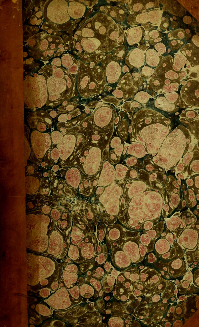 digitised image 1