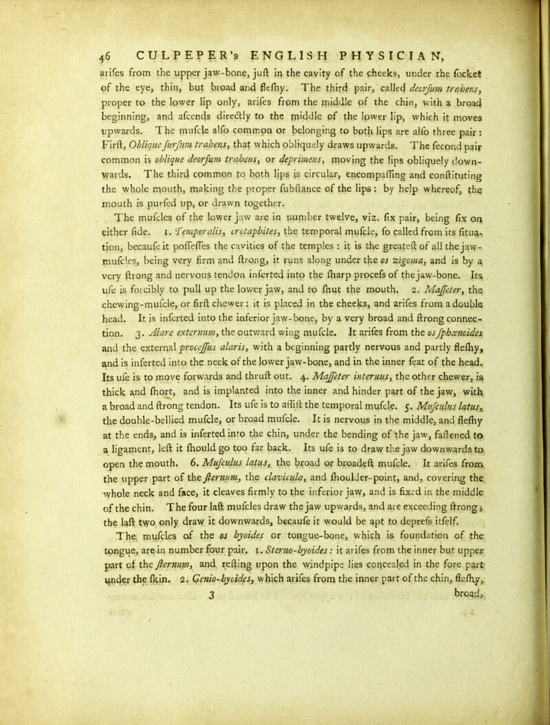 arifes from the upper jaw-bone, juft in the cavity of the cheeks, under the focket of the eye, thin, but broad and flefhy. The third pair, calleddeorfurn trahens, proper to the lower lip only, arifes from the middle of the chin, with a broad beginning, and afcends dire&ly to the middle of the lower lip, which it moves upwards. The mufcle alfo common or belonging to both lips are alfo three pair : Firft, Obliquefiurfum trahens, that which obliquely draws upwards. The fecond pair- common is oblique deorjum trahens, or deprimens, moving the lips obliquely down- wards. The third common to both lips is circular, encompafting and conftituting the whole mouth, making the proper fubftance of the lips: by help whereof, the mouth is purfed up, or drawn together. The mufcles of the lower jaw are in number twelve, viz. fix pair, being fix on either fide. i. 'Temporalis, crotapbites, the temporal mufcle, fo called from its fitui- tion, becaufeit poflefles the cavities of the temp>les : it is the greateft of all thejaw- mufcles, being very firm and ftrong, it runs along under the os zigoma, and is by a very ftrong and nervous tendon inferted into the fharp procefs of thejaw-bone. Its ufe is foicibly to pull up the lower jaw, and to fhut the mouth. 2. Maffeter, the chewing-mufcle, or firft chewer: it is placed in the cheeks, and arifes from a double head. It is inferted into the inferior jaw-bone, by a very broad and ftrong connec- tion. 3. Alare externum, the outward wing mufcle. It arifes from the osJphcenoides and the external proceffus alaris, with a beginning partly nervous and partly flefhy, and is inferted into the neck of the lower jaw-bone, and in the inner feat of the head. Its ufe is to move forwards and thruft out. 4. Majfeter internus, the other chewer, is thick and fhort, and is implanted into the inner and hinder part of the jaw, with a broad and ftrong tendon. Its ufe is to aflift the temporal mufcle. 5. Mufculus latus, the double-bellied mufcle, or broad mufcle. It is nervous in the middle, and flefhy at the ends, and is inferted into the chin, under the bending of the jaw, faftened to a ligament, left it fhouldgo too far back. Its ufe is to draw the jaw downwards to open the mouth. 6. Mufculus latus, the broad or broadeft mufcle. It arifes from the upper part of the fiernum, the clavicula, and fhoulder-point, and, covering the. whole neck and face, it cleaves firmly to the inferior jaw, and is fixed in the middle of the chin. The four laft mufcles draw the jaw upwards, and are exceeding ftrong the laft two only draw it downwards, becaufe it would be apt to deprefs itfelf. The mufcles of the os hyoides or tongue-bone, which is foundation of the tongue, are in number four pair. 1. Sterno-hyoides: it arifes from the inner but upper part of the fiernum, and refting upon the windpipe lies concealed in the fore part vjnder the fkin. 2, Genio-hyoides, which arifes from the inner part of the chin, flefhy, 3 broach