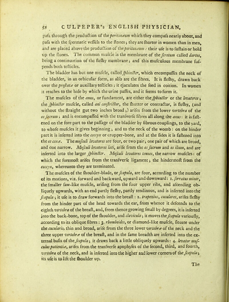 pafs through the production of tht peritoneum which they compafs neariy about, and pafs with the fpermatic vefifels to the ftones; they are fhorter in women than in men, and are placed above the production of tht peritoneum : their ufe is to fuftain or hold up the ftones. The common mufcle is the membrane of the fcrotum called dartos, being a continuation of the flefhy membrane; and this mufculous membrane fuf- pends both tefticles. The bladder has but one mufcle, called fphincler, which encompaffes the neck of the bladder, in an orbicular form, as alfo are the fibres. It is flefhy, drawn back over the prof ate or auxiliary tefticles ; it ejaculates the feed in coition. In women it reaches to the hole by which the urine pafies, and it feems to form it. The mufcles of the anus, or fundament, are either the fphintter or the levatores; the fphindler mufcle, called ani conftriftor, the (butter or contractor, is flefhy, (and without the ftraight gut two inches broad ;) arifes from the lower vertebra of the osJacrum ; and is encompaffed with the tranfverfe fibres all along the anus\ it is fatt- ened on the fore part to the paflage of the bladder by fibrous couplings, to the yard, to whofe mufcles it gives beginning ; and to the neck of the womb : on the hinder part it is inferted into the coccyx or crupper-bone, and at the Tides it is fattened into the os coxe. Themufculi levatores are four, or two pair; one pair of which are broad, and one narrow. Mufculi levatores lati, arife from the os Jacrum and os ilium, and are inferted into the larger fphinbler. Mufculi levatores tenues, the narrow mufcles: of which the foremoft arifes from the tranfverfe ligament; the hindermoft from the coccyx^ whereunto they are terminated. The mufcles of the lhoulder-blade, or fcapula, are four, according to the number of its motions, viz. forward and backward, upward and downward: i. ferratus minor, the fmaller faw-like mufcle, arifing from the four upper ribs, and attending ob- liquely upwards, with an end partly flefhy, partly tendinous, and is inferted into the fcapula ; it ufe is to draw forwards into the breaft : 2. trapezius, cuculares, arifes flefhy from the hinder part of the head towards the, ear, from whence it dettends to the eighth vertebra of the breaft, and, from thence growing fmall by degrees, it is inferted jnto the back-bone, top of the fhoulder, and clavicula; it moves the fcapula varioufly, ■according to its oblique fibres : 3. rhomboides, or diamond-like mufcle, fituate under the cucularis, thin and broad, arife from the three lower vertebra of the neck and the three upper vertebra of the breaft, and in the fame breadth are inferted into the ex- ternal bafis of the fcapula; it draws back a little obliquely upwards: 4. levator muf- culus patientie, arifes from the tranfverfe apophyfes of the fecond, third, and fourth, vertebra of the neck, and is inferted into the higher and lower corners of thz fcapula; its ufe is to lift the fhoulder up.