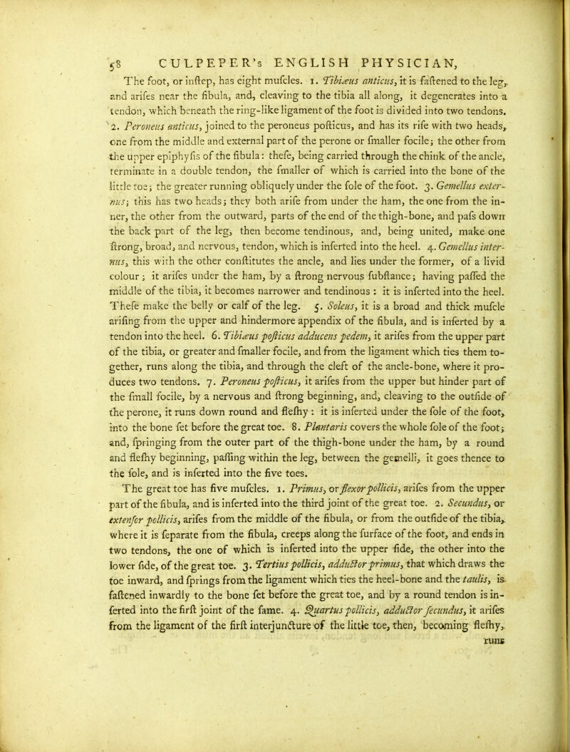 5 i J The foot, or inftep, has eight mufcles. i. Tibi^eus anticus, it is fattened to the leg, and arifes near the fibula, and, cleaving to the tibia all along, it degenerates into a tendon, which beneath the ring-like ligament of the foot is divided into two tendons. 2. Pcroneus anticus, joined to the peroneus pofticus, and has its rife with two heads, one from the middle and external part of the perone or fmaller focile; the other from the upper epiphyfis of the fibula: thefe, being carried through the chink of the ancle, terminate in a double tendon, the fmaller of which is carried into the bone of the little toe; the greater running obliquely under the foie of the foot. 3. Gemellus exter- nus; this has two heads; they both arife from under the ham, the one from the in- ner, the other from the outward, parts of the end of the thigh-bone, and pafs down the back part of the leg, then become tendinous, and, being united, make one ftrong, broad, and nervous, tendon, which is inferted into the heel. 4. Gemellus inter- nus, this with the other conftitutes the ancle, and lies under the former, of a livid colour; it arifes under the ham, by a ftrong nervous fubftance; having patted the middle of the tibia, it becomes narrower and tendinous : it is inferted into the heel. Thefe make the belly or calf of the leg. 5. Soleus, it is a broad and thick mufcle arifing from the upper and hindermore appendix of the fibula, and is inferted by a tendon into the heel. 6. Pibiaus pofticus adducens pedem, it arifes from the upper part of the tibia, or greater and fmaller focile, and from the ligament which ties them to- gether, runs along the tibia, and through the cleft of the ancle-bone, where it pro- duces two tendons. 7. Peroneus pofticus, it arifes from the upper but hinder part of the fmall focile, by a nervous and ftrong beginning, and, cleaving to the outfide of the perone, it runs down round and flefhy : it is inferted under the foie of the foot,, into the bone fet before the great toe. 8. Plantaris covers the whole foie of the foot; and, fpringing from the outer part of the thigh-bone under the ham, by a round and flefhy beginning, patting within the leg, between the gemelli, it goes thence to the foie, and is inferted into the five toes. The great toe has five mufcles. 1. Primus, or flexor pollicis, arifes from the upper part of the fibula, and is inferted into the third joint of the great toe. 2. Secundus, or extenfor pollicis, arifes from the middle of the fibula, or from the outfide of the tibia, where it is feparate from the fibula, creeps along the furface of the foot, and ends in two tendons, the one of which is inferted into the upper fide, the other into the lower fide, of the great toe. 3. P'ertius pollicis, addulior primus, that which draws the toe inward, and fprings from the ligament which ties the heel-bone and the taulis, is. fattened inwardly to the bone fet before the great toe, and by a round tendon is in- ferted into the firft joint of the fame. 4. Quartus pollicis, adduftor fecundus,\t arifes from the ligament of the firft interjunfture of the little toe, then, becoming fleihy, runs