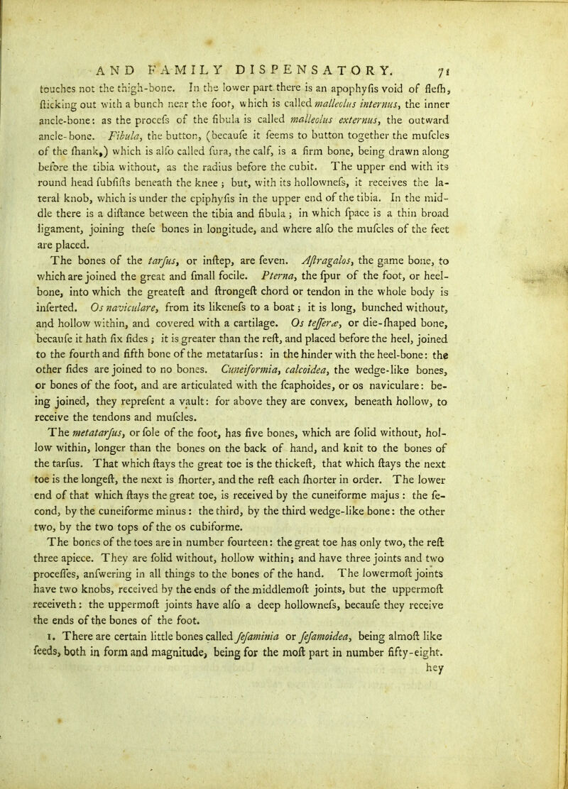 touches not the thigh-bone. In the lower part there is an apophyfis void of flefh, flicking out with a bunch near the foot, which is called malleolus internus> the inner ancle-bone: as the procefs of the fibula is called malleolus externus, the outward, ancle-bone. Fibula, the button, (becaufe it feems to button together the mufcles of the thank,) which is alfo called fura, the calf, is a firm bone, being drawn along before the tibia without, as the radius before the cubit. The upper end with its round head fubfifls beneath the knee ; but, with its hollownefs, it receives the la- teral knob, which is under the epiphyfis in the upper end of the tibia. In the mid- dle there is a diftance between the tibia and fibula ; in which fpace is a thin broad ligament, joining thefe bones in longitude, and where alfo the mufcles of the feet are placed. The bones of the tarfusy or inftep, are feven. Aftragalos, the game bone, to which are joined the great and fmall focile. Pterna, the fpur of the foot, or heel- bone, into which the greateft and ftrongeft chord or tendon in the whole body is inferted. Os navicular ey from its likenefs to a boat; it is long, bunched without, and hollow within, and covered with a cartilage. Os tefferay or die-fhaped bone, becaufe it hath fix fides ; it is greater than the reft, and placed before the heel, joined to the fourth and fifth bone of the metatarfus: in the hinder with the heel-bone: the other fides are joined to no bones. Cuneiformia, calcoideay the wedge-like bones, or bones of the foot, and are articulated with the fcaphoides, or os naviculare: be- ing joined, they reprefent a vault: for above they are convex, beneath hollow, to receive the tendons and mufcles. The metatarfus, or foie of the foot, has five bones, which are folid without, hol- low within, longer than the bones on the back of hand, and knit to the bones of the tarfus. That which flays the great toe is the thickeft, that which flays the next toe is the longeft, the next is fhorter, and the reft each ftiorter in order. The lower end of that which flays the great toe, is received by the cuneiforme majus : the fe- cond, by the cuneiforme minus: the third, by the third wedge-like bone: the other two, by the two tops of the os cubiforme. The bones of the toes are in number fourteen: the great toe has only two, the reft three apiece. They are folid without, hollow within; and have three joints and two procefies, anfwering in all things to the bones of the hand. The lowermoft joints have two knobs, received by the ends of the middlemoft joints, but the uppermoft receiveth: the uppermoft joints have alfo a deep hollownefs, becaufe they receive the ends of the bones of the foot. 1. There are certain little bones called Jefaminia or Jefamoideay being almoft like feeds, both in form and magnitude, being for the moft part in number fifty-eight. hey