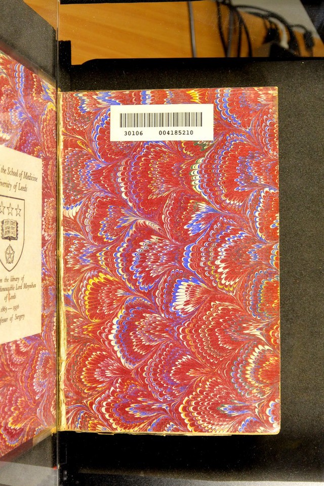 No text description is available for this image