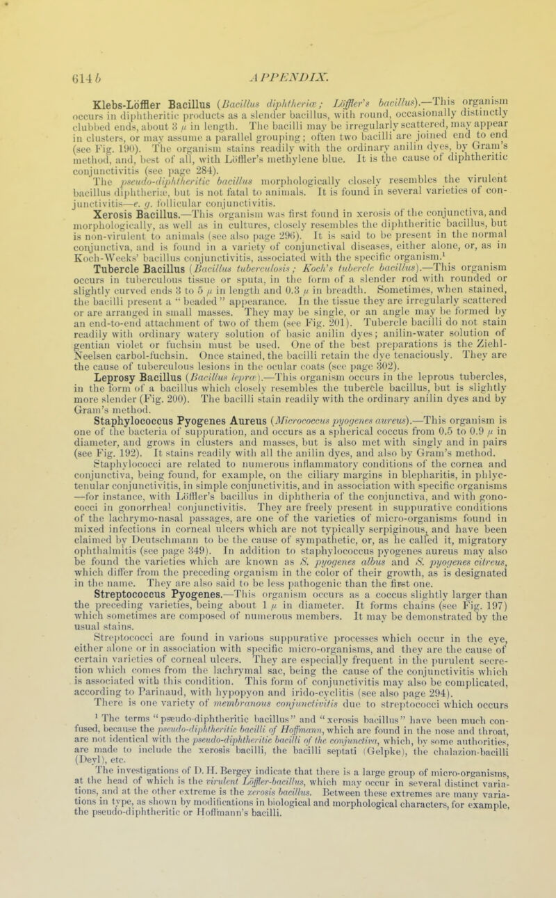 Klebs-Lblfler Bacillus {Bacillus dipMherice; Loffler's baci/h(s).—Th\^ organisin occurs in diphiheritii- products as a slender bacillus, with round, occasionally distinctly clubbed ends, about 3 u in length. The bacilli may be irregularly scattered, may appear in clusters, or mav assume a parallel grouping; often two bacilli are joined end to end (see Fig. 190). The organism stains readily with the ordinary anilin dyes, by Gram s method, and, best ol' all, with Liiffler's methylene blue. It is the cause of diphtheritic conjunctivitis (see page 284). The pmido-dipltikerttic bacillus morphologically closely resembles the virulent bacillus diphtheria', but is not fatal to animals. It is found in several varieties of con- junctivitis—e. </. follicular conjunctivitis. Xerosis Bacillus.—This organism was first found in xerosis of the conjunctiva, and morphologicallv, as well as in cultures, closely resembles the diphtheritic bacillus, but is non-virulent'to animals (see also page 29G).' It is said to be present in the normal conjunctiva, and is found in a variety of conjunctival diseases, either alone, or, as in Koch-Weeks' bacillus conjunctivitis, associated with the specific organism.' Tubercle Bacillus {Bacillus tuben-ulon.^; Koch's tubercle bacillus).—This organism occurs in tul)erculous tissue or sputa, in the form of a slender rod with rounded or slightly curved ends S to 5 /i in length and 0.3 in breadth. Sometimes, when stained, the bacilli present a  beaded  ai)i)earance. In the tissue they are irregularly scattered or are arranged in small masses. They may be single, or an angle may be formed by an end-to-end attachment of two of them (see Fig. 201). Tubercle bacilli do not stain readily with ordinary watery solution of basic anilin dyes; anilin-water solution of gentian violet or fuchsin must be used. One of the best preparations is the Ziehl- Neelsen carbol-fuchsin. Once stained, the bacilli retain the dye tenaciously. They are the cause of tuberculous lesions in the ocular coats (see page 302). Leprosy Bacillus {Bacillus lejmv).—This organism occurs in the leprous tubercles, in the form of a bacillus which closely resembles the tubercle bacillus, but is slightly more slender (Fig. 200). The bacilli stain readily with the ordinary anilin dyes and by Gram's method. Staphylococcus Pyogenes Aureus {Micrococcus pyogenes aureus).—This organism is one of the bacteria of sup])uration, and occurs as a spherical coccus from 0.5 to 0.9 // in diameter, and grows in clusters and masses, but is also met with singly and in pairs (see Fig. 192). It stains readily with all the anilin dyes, and also by Gram's method. Staphylococci are related to numerous inflammatory conditions of the cornea and conjunctiva, being found, for example, on the ciliary margins in blei)haritis, in phlyc- tenular conjunctivitis, in simple conjunctivitis, and in association with specific organisms —for instance, with Loffler's bacillus in diphtheria of the conjunctiva, and with gono- cocci in gonorrhea! conjunctivitis. They are freely present in suppurative conditions of the lachrymo-nasal passages, are one of the varieties of micro-organisms found in mixed infections in corneal ulcers which are not typically serpiginous^^ and have been claimed by Deutschmann to be the cause of symjiathetic, or, as he called it, migratory ophthalmitis (see page 349). In addition to staphylococcus pyogenes aureus may also be found the varieties which are known as tS. pyogenes albus and S. pyogenes citreus, which difl'er from the preceding organism in the color of their growth, as is designated in the name. They are also said to be less pathogenic than the first one. Streptococcus Pyogenes.—This organism occurs as a coccus slightly larger than the preceding varieties, being about 1 // in diameter. It forms chains (see Fig. 197) which sometimes are composed of numerous members. It may be demonstrated by the usual stains. Streptococci are found in various suppurative processes which occur in the eye, either nlone or in association with specific micro-organisms, and they are the cause of certain varieties of corneal ulcers. They are especially frequent in the purulent secre- tion which comes from the lachrymal sac, being the cause of the conjunctivitis which is associated with this condition. This form of conjunctivitis may also be complicated, according to Parinaud, with hypopyon and irido-cyclitis (see also page 294). There is one variety of membrarious conjunctivitis due to streptococci which occurs 1 The terms pseudo-diphtheritic bacillus and xerosis bacillus have been much con- fused, because the pj^eudo-diphOieritic. haciUi of Hoffmann, vfhich are found in the nose and throat, are not identical with the pmudo-diphthrrilic, baciJIi of the conjunctiva, which, bv some authorities, are made to include the xerosis bacilli, the bacilli septati (Gelpke), the chalazion-bacilli (Deyl), etc. The investigations of D. H. Bergey indicate that there is a large group of micro-organisms, at the head of which is the vindrnt Loffler-bacUlu.% which may occur in several distinct varia- tions, and at the other extreme is the xerosis bacillus. Between these extremes are many varia- tions in type, as shown by modifications in biological and morphological characters, for example, the pseudo-diphtheritic or Hoflmann's bacilli.