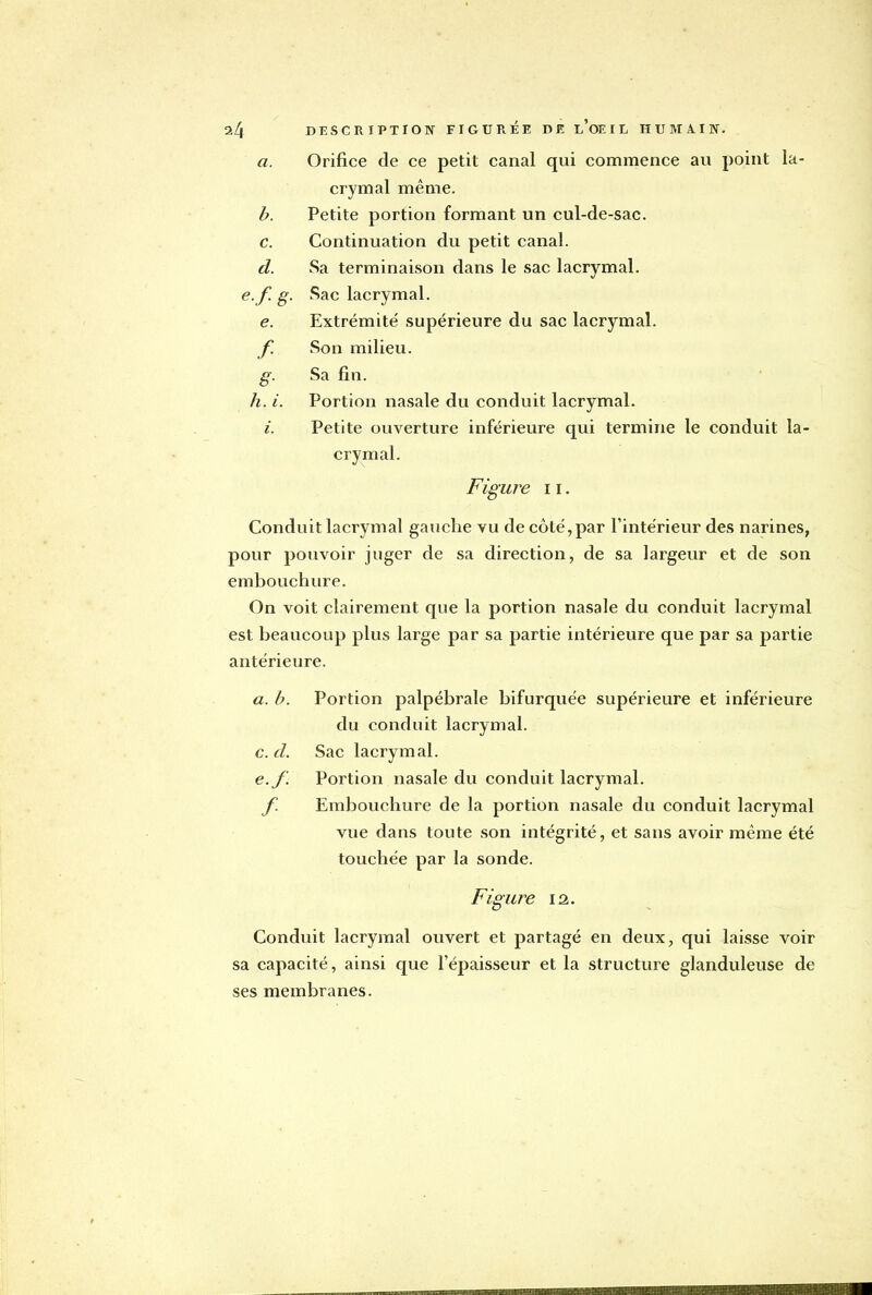 a. Orifice de ce petit canal qui commence au point la- crymal même. b. Petite portion formant un cul-de-sac. c. Continuation du petit canal. d. Sa terminaison dans le sac lacrymal. e.f. g. Sac lacrymal. e. Extrémité supérieure du sac lacrymal. f. Son milieu. g. Sa fin. h. i. Portion nasale du conduit lacrymal. i. Petite ouverture inférieure qui termine le conduit la- crymal. Figure 11. Conduit lacrymal gauche vu de côté, par l'intérieur des narines, pour pouvoir juger de sa direction, de sa largeur et de son embouchure. On voit clairement que la portion nasale du conduit lacrymal est beaucoup plus large par sa partie intérieure que par sa partie antérieure. a. b. Portion palpébrale bifurquée supérieure et inférieure du conduit lacrymal. c. d. Sac lacrymal. e.f. Portion nasale du conduit lacrymal. f. Embouchure de la portion nasale du conduit lacrymal vue dans toute son intégrité, et sans avoir même été touchée par la sonde. Figure ia. Conduit lacrymal ouvert et partagé en deux, qui laisse voir sa capacité, ainsi que l'épaisseur et la structure glanduleuse de ses membranes.