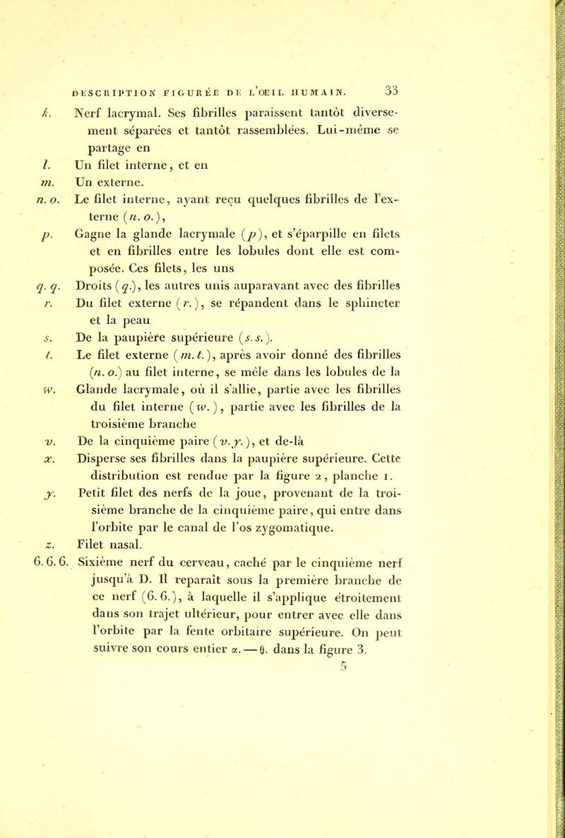 k. Nerf lacrymal. Ses fibrilles paraissent tantôt diverse- ment séparées et tantôt rassemblées. Lui-même se partage en /. Un filet interne, et en i7i. Un externe. n. o. Le filet interne, ayant reçu quelques fibrilles de l'ex- terne («. o. ), p. Gagne la glande lacrymale (/>), et s'éparpille en filets et en fibrilles entre les lobules dont elle est com- posée. Ces filets, les uns q. q. Droits (q.), les autres unis auparavant avec des fibrilles r. Du filet externe (/.), se répandent dans le sphincter et la peau s. De la paupière supérieure (s.s.). t. Le filet externe ( 772. t. ), après avoir donné des fibrilles (n.o.) au filet interne, se mêle dans les lobules de la W. Glande lacrymale, où il s'allie, partie avec les fibrilles du filet interne (w. ), partie avec les fibrilles de la troisième branche v. De la cinquième paire {y.y, ), et de-là x. Disperse ses fibrilles dans la paupière supérieure. Cette distribution est rendue par la figure 2, planche 1. j. Petit filet des nerfs de la joue, provenant de la troi- sième branche de la cinquième paire, qui entre dans l'orbite par le canal de l'os zygomatique. z. Filet nasal. 6.6.6. Sixième nerf du cerveau, caché par le cinquième nerf jusqu'à D. Il reparaît sous la première branche de ce nerf (6.6.), à laquelle il s'applique étroitement dans son trajet ultérieur, pour entrer avec elle dans l'orbite par la fente orbitaire supérieure. On peut suivre son cours entier a. — Q. dans la figure 3.