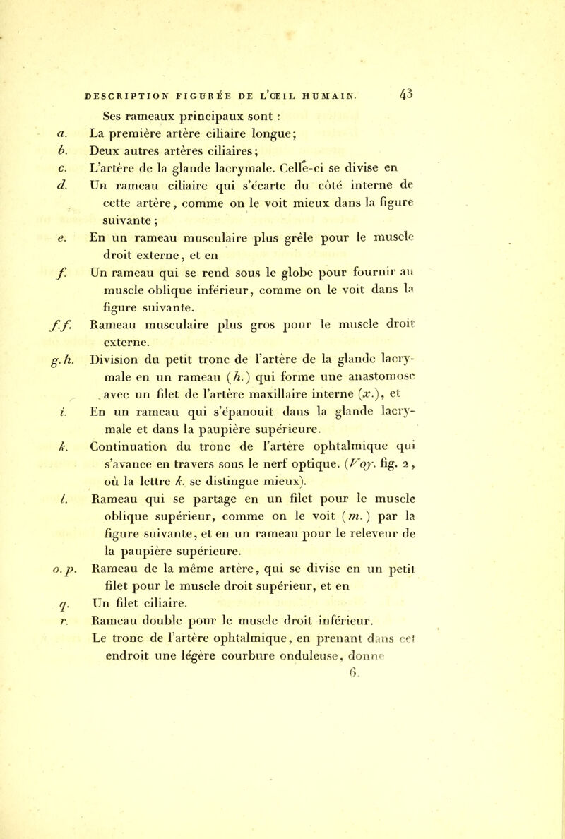 Ses rameaux principaux sont : a. La première artère ciliaire longue; b. Deux autres artères ciliaires; c. L'artère de la glande lacrymale. Celle-ci se divise en d. Un rameau ciliaire qui s'écarte du côté interne de cette artère, comme on le voit mieux dans la figure suivante ; e. En un rameau musculaire plus grêle pour le muscle droit externe, et en f. Un rameau qui se rend sous le globe pour fournir au muscle oblique inférieur, comme on le voit dans la figure suivante. f. f. Rameau musculaire plus gros pour le muscle droit externe. g. h. Division du petit tronc de l'artère de la glande lacry- male en un rameau [h.) qui forme une anastomose avec un filet de l'artère maxillaire interne (,r.), et i. En un rameau qui s'épanouit dans la glande lacry- male et dans la paupière supérieure. A: Continuation du tronc de l'artère ophtalmique qui s'avance en travers sous le nerf optique. {Voj. fig. i, où la lettre A. se distingue mieux). /. Rameau qui se partage en un filet pour le muscle oblique supérieur, comme on le voit (m.) par la figure suivante, et en un rameau pour le releveur de la paupière supérieure. o.p. Rameau de la même artère, qui se divise en un petit filet pour le muscle droit supérieur, et en q. Un filet ciliaire. r. Rameau double pour le muscle droit inférieur. Le tronc de l'artère ophtalmique, en prenant dans cet endroit une légère courbure onduleuse, donne 6.