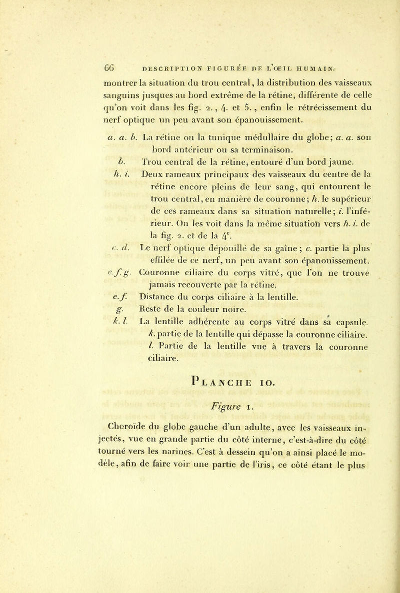 montrer la situation du trou central, la distribution des vaisseaux sanguins jusques au bord extrême de la rétine, différente de celle qu'on voit dans les fig. 2., 4- et 5. , enfin le rétrécissement du nerf optique un peu avant son épanouissement. a. a. b. La rétine ou la tunique médullaire du globe; a. a. son bord antérieur ou sa terminaison. b. Trou central de la rétine, entouré d'un bord jaune. h. i. Deux rameaux principaux des vaisseaux du centre de la rétine encore pleins de leur sang, qui entourent le trou central, en manière de couronne; h. le supérieur de ces rameaux dans sa situation naturelle; i. l'infé- rieur. On les voit dans la même situation vers h. i. de la fig. 2. et de la L\. c. d. Le nerf optique dépouillé de sa gaîne ; c. partie la plus effilée de ce nerf, un peu avant son épanouissement. efg- Couronne ciliaire du corps vitré, que l'on ne trouve jamais recouverte par la rétine. e.f. Distance du corps ciliaire à la lentille. g. Reste de la couleur noire. /. /. La lentille adhérente au corps vitré dans sa capsule. ^.partie de la lentille qui dépasse la couronne ciliaire. /. Partie de la lentille vue à travers la couronne ciliaire. Planche 10. Figure 1. Choroïde du globe gauche d'un adulte, avec les vaisseaux in- jectés, vue en grande partie du côté interne, c'est-à-dire du côté tourné vers les narines. C'est à dessein qu'on a ainsi placé le mo- dèle, afin de faire voir une partie de l'iris, ce côté étant le plus