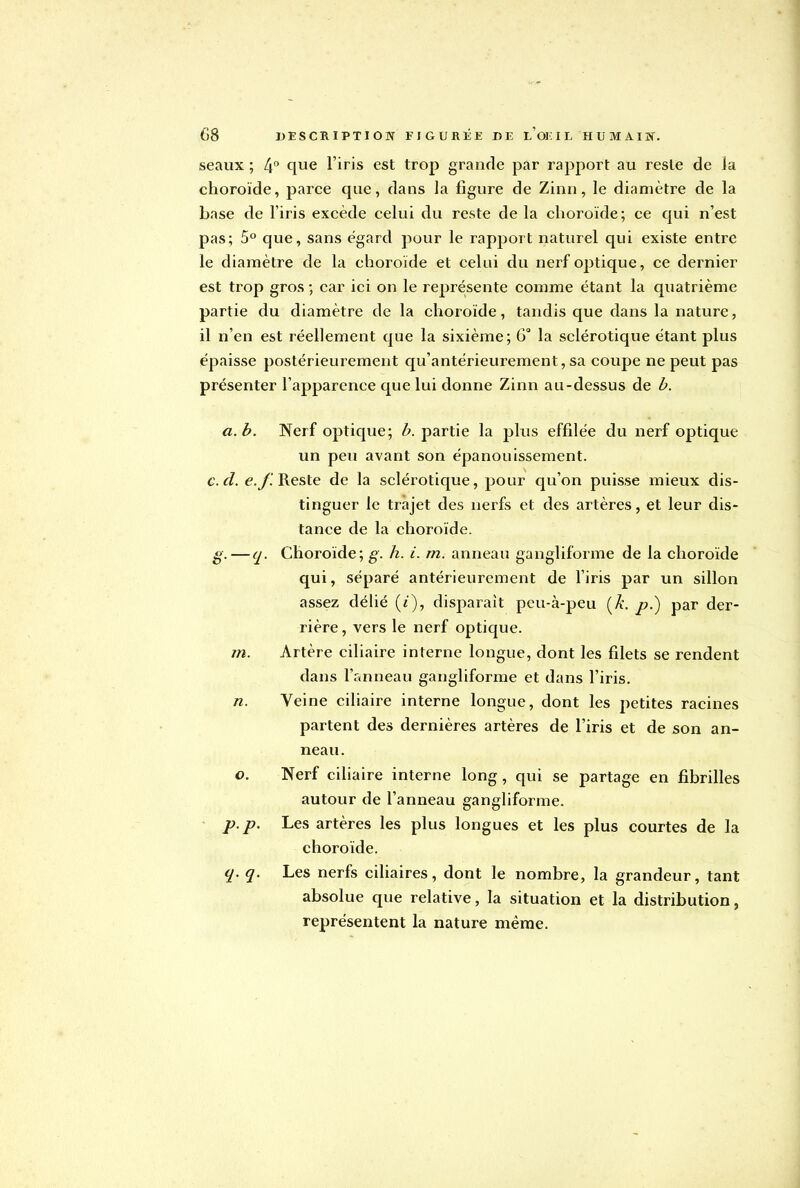 seaux ; 4° que l'iris est trop grande par rapport au reste de la choroïde, parce que, dans la figure de Zinn, le diamètre de la base de l'iris excède celui du reste de la choroïde; ce qui n'est pas; 5° que, sans égard pour le rapport naturel qui existe entre le diamètre de la choroïde et celui du nerf optique, ce dernier est trop gros ; car ici on le représente comme étant la quatrième partie du diamètre de la choroïde, tandis que dans la nature, il n'en est réellement que la sixième; 6° la sclérotique étant plus épaisse postérieurement qu'antérieurement, sa coupe ne peut pas présenter l'apparence que lui donne Zinn au-dessus de b. a. b. Nerf optique; b. partie la plus effilée du nerf optique un peu avant son épanouissement. c. cl. e.f. Reste de la sclérotique, pour qu'on puisse mieux dis- tinguer le trajet des nerfs et des artères, et leur dis- tance de la choroïde. g.— q. Choroïde; g. h. i. m. anneau gangliforme de la choroïde qui, séparé antérieurement de l'iris par un sillon assez délié (i), disparait peu-à-peu (A', p.) par der- rière , vers le nerf optique. m. Artère ciliaire interne longue, dont les filets se rendent dans l'anneau gangliforme et dans l'iris. n. Veine ciliaire interne longue, dont les petites racines partent des dernières artères de l'iris et de son an- neau. o. Nerf ciliaire interne long, qui se partage en fibrilles autour de l'anneau gangliforme. p.p. Les artères les plus longues et les plus courtes de la choroïde. q. q. Les nerfs ciliaires, dont le nombre, la grandeur, tant absolue que relative, la situation et la distribution, représentent la nature même.