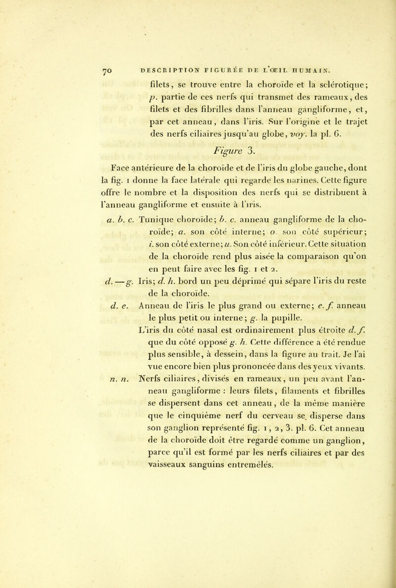 filets, se trouve entre la choroïde et la sclérotique; p. partie de ces nerfs qui transmet des rameaux, des filets et des fibrilles dans l'anneau gangliforme, et, par cet anneau, dans l'iris. Sur l'origine et le trajet des nerfs ciliaires jusqu'au globe, voj. la pl. 6. Figure 3. Face antérieure de la choroïde et de l'iris du globe gauche, dont la fig. i donne la face latérale qui regarde les narines. Cette figure offre le nombre et la disposition des nerfs qui se distribuent à l'anneau gangliforme et ensuite à l'iris. a. b. c. Tunique choroïde; b. c. anneau gangliforme de la cho- roïde; a. son côté interne; o son côté supérieur; i. son côté externe; u. Son côté inférieur. Cette situation de la choroïde rend plus aisée la comparaison qu'on en peut faire avec les fig. i et 2. cl. —g. Iris; d. h. bord un peu déprimé qui sépare l'iris du reste de la choroïde. d. e. Anneau de l'iris le plus grand ou externe; e.f. anneau le plus petit ou interne; g. la pupille. L'iris du côté nasal est ordinairement plus étroite d,f. que du côté opposé g. h. Cette différence a été rendue plus sensible, à dessein, dans la figure au trait. Je l'ai vue encore bien plus prononcée dans des yeux vivants. n. n. Nerfs ciliaires, divisés en rameaux, un peu avant l'an- neau gangliforme : leurs filets, filaments et fibrilles se dispersent dans cet anneau, de la même manière que le cinquième nerf du cerveau se^ disperse dans son ganglion représenté fig. 1, 2, 3. pl. 6. Cet anneau de la choroïde doit être regardé comme un ganglion, parce qu'il est formé par les nerfs ciliaires et par des vaisseaux sanguins entremêlés.