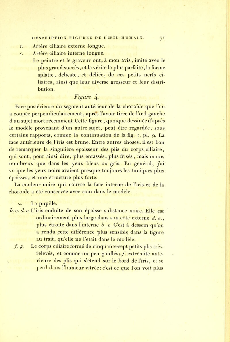 r. Artère ciliaire externe longue. s. Artère ciliaire interne longue. Le peintre et le graveur ont, à mon avis, imité avec le plus grand succès, et la vérité la plus parfaite, la forme aplatie, délicate, et déliée, de ces petits nerfs ci- liaires, ainsi que leur diverse grosseur et leur distri- bution. Figure 4- Face postérieure du segment antérieur de la choroïde que l'on a coupée perpendiculairement, aprè's l'avoir tirée de l'œil gauche d'un sujet mort récemment. Cette figure, quoique dessinée d'après le modèle provenant d'un autre sujet, peut être regardée, sous certains rapports, comme la continuation de la fig. r. pl. g. La face antérieure de l'iris est brune. Entre autres choses, il est bon de remarquer la singulière épaisseur des plis du corps ciliaire, qui sont, pour ainsi dire, plus entassés, plus frisés, mais moins nombreux que dans les yeux bleus ou gris. En général, j'ai vu que les yeux noirs avaient presque toujours les tuniques plus épaisses, et une structure plus forte. La couleur noire qui couvre la face interne de l'iris et de la choroïde a été conservée avec soin dans le modèle. a. La pupille. b. c. d. e. L'iris enduite de son épaisse substance noire. Elle est ordinairement plus large dans son côté externe d. e., plus étroite dans l'interne b. c. C'est à dessein qu'on a rendu cette différence plus sensible dans la figure au trait, qu'elle ne l'était dans le modèle. f. g. Le corps ciliaire formé de cinquante-sept petits plis très- relevés, et comme un peu gonflés;/^ extrémité anté- rieure des plis qui s'étend sur le bord de l'iris, et se perd dans l'humeur vitrée; c'est ce que l'on voit plus