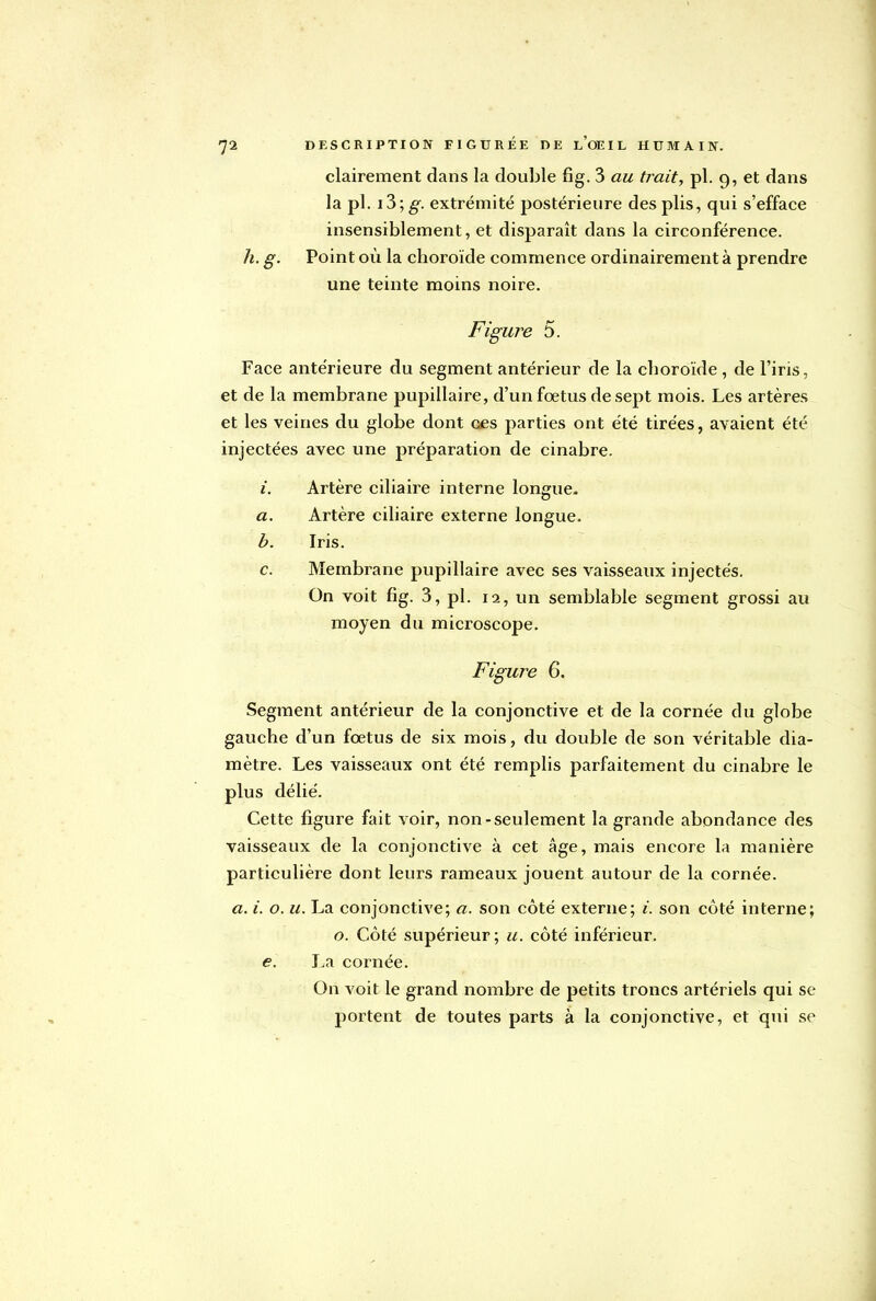 clairement dans la double fig. 3 au trait, pl. 9, et dans la pl. i3; g. extrémité postérieure des plis, qui s'efface insensiblement, et disparaît dans la circonférence. h. g. Point où la choroïde commence ordinairement à prendre une teinte moins noire. Figure 5. Face antérieure du segment antérieur de la choroïde , de l'iris, et de la membrane pupillaire, d'un fœtus de sept mois. Les artères et les veines du globe dont ces parties ont été tirées, avaient été injectées avec une préparation de cinabre. i. Artère ciliaire interne longue. a. Artère ciliaire externe longue. b. Iris. c. Membrane pupillaire avec ses vaisseaux injectés. On voit fig. 3, pl. 12, un semblable segment grossi au moyen du microscope. Figure 6. Segment antérieur de la conjonctive et de la cornée du globe gauche d'un fœtus de six mois, du double de son véritable dia- mètre. Les vaisseaux ont été remplis parfaitement du cinabre le plus délié. Cette figure fait voir, non-seulement la grande abondance des vaisseaux de la conjonctive à cet âge, mais encore la manière particulière dont leurs rameaux jouent autour de la cornée. a. i. o. u. La conjonctive; a. son côté externe; i. son côté interne; o. Côté supérieur; u. côté inférieur. e. La cornée. On voit le grand nombre de petits troncs artériels qui se portent de toutes parts à la conjonctive, et qui se