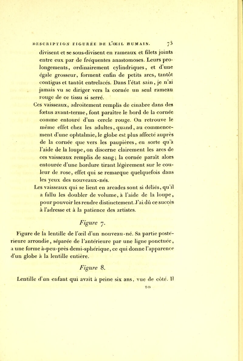 divisent et se sous-divisent en rameaux et filets joints entre eux par de fréquentes anastomoses. Leurs pro- longements, ordinairement cylindriques, et d'une égale grosseur, forment enfin de petits arcs, tantôt conligus et tantôt entrelacés. Dans l'état sain, je n'ai jamais vu se diriger vers la cornée un seul rameau rouge de ce tissu si serré. Ces vaisseaux, adroitement remplis de cinabre dans des foetus avant-terme, font paraître le bord de la cornée comme entouré d'un cercle rouge. On retrouve le même effet chez les adultes, quand, au commence- ment d'une ophtalmie, le globe est plus affecté auprès de la cornée que vers les paupières, en sorte qu'à l'aide de la loupe, on discerne clairement les arcs de ces vaisseaux remplis de sang ; la cornée paraît alors entourée d'une bordure tirant légèrement sur le cou- leur de rose, effet qui se remarque quelquefois dans les yeux des nouveaux-nés. Les vaisseaux qui se lient en arcades sont si déliés, qu'il a fallu les doubler de volume, à l'aide de la loupe, pour pouvoir les rendre distinctement. J'ai dù ce succès à l'adresse et à la patience des artistes. Figure 7. Figure de la lentille de l'œil d'un nouveau-né. Sa partie posté- rieure arrondie, séparée de l'antérieure par une ligne ponctuée, a une forme à-peu-près demi-sphérique, ce qui donne l'apparence d'un globe à la lentille entière. Figure 8. Lentille d'un enfant qui avait à peine six ans, vue de côté. Il 10