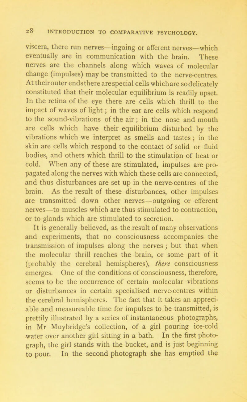 viscera, there run nerves—ingoing or afferent nerves—which eventually are in communication with the brain. These nerves are the channels along which waves of molecular change (impulses) may be transmitted to the nerve-centres. At theirouter endsthere arespecial cells whichare sodelicately constituted that their molecular equilibrium is readily upset. In the retina of the eye there are cells which thrill to the impact of waves of light; in the ear are cells which respond to the sound-vibrations of the air; in the nose and mouth are cells which have their equilibrium disturbed by the vibrations which we interpret as smells and tastes ; in the skin are cells which respond to the contact of solid or fluid bodies, and others which thrill to the stimulation of heat or cold. When any of these are stimulated, impulses are pro- pagated along the nerves with which these cells are connected, and thus disturbances are set up in the nerve-centres of the brain. As the result of these disturbances, other impulses are transmitted down other nerves—outgoing or efferent nerves—to muscles which are thus stimulated to contraction, or to glands which are stimulated to secretion. It is generally believed, as the result of many observations and experiments, that no consciousness accompanies the transmission of impulses along the nerves ; but that when the molecular thrill reaches the brain, or some part of it (probably the cerebral hemispheres), there consciousness emerges. One of the conditions of consciousness, therefore, seems to be the occurrence of certain molecular vibrations or disturbances in certain specialised nerve-centres within the cerebral hemispheres. The fact that it takes an appreci- able and measureable time for impulses to be transmitted, is prettily illustrated by a series of instantaneous photographs, in Mr Muybridge’s collection, of a girl pouring ice-cold water over another girl sitting in a bath. In the first photo- graph, the girl stands with the bucket, and is just beginning to pour. In the second photograph she has emptied the