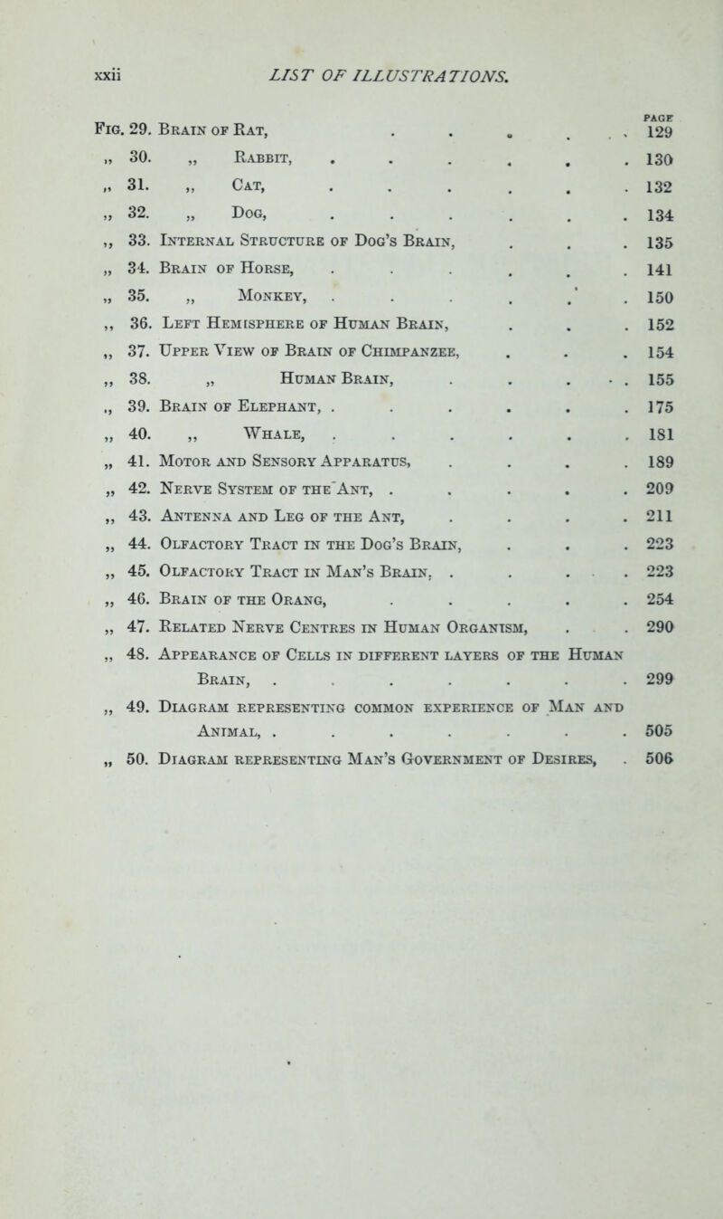 Fig .29. Brain of Rat, , PAGE 129 „ 30. „ Rabbit, 130 99 31. „ Cat, 132 99 32. „ Dog, . 134 33. Internal Structure of Dog’s Brain, . 135 „ 34. Brain of Horse, 141 99 35. „ Monkey, • 150 ,, 36. Left Hemisphere of Human Brain, 152 99 37. Upper View of Brain of Chimpanzee, . 154 99 38. „ Human Brain, 155 ,, 39. Brain of Elephant, . 175 99 40. „ Whale, . 181 99 41. Motor and Sensory Apparatus, 189 99 42. Nerve System of the'Ant, . 209 99 43. Antenna and Leg of the Ant, . 211 99 44. Olfactory Tract in the Dog’s Brain, . 223 99 45. Olfactory Tract in Man’s Brain, . 223 99 46. Brain of the Orang, 254 99 47. Related Nerve Centres in Human Organism, 290 99 48. Appearance of Cells in different layers of the Human Brain, ... 299 99 49. Diagram representing common experience of Man and Animal, .... 505 99 50. Diagram representing Man’s Government of Desires, 506