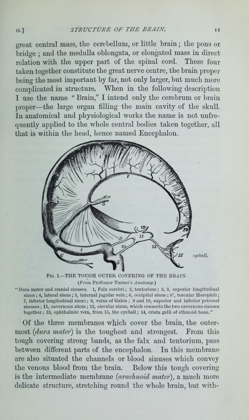 great central mass, the cerebellum, or little brain; the pons or bridge ; and the medulla oblongata, or elongated mass in direct relation with the upper part of the spinal cord. These four taken together constitute the great nerve centre, the brain proper being the most important by far, not only larger, but much more complicated in structure. When in the following description I use the name “ Brain,” I intend only the cerebrum or brain proper—the large organ filling the main cavity of the skull. In anatomical and physiological works the name is not unfre- quently applied to the whole central bodies taken together, all that is within the head, hence named Encephalon. “Dura mater and cranial sinuses. 1, Falx cerebri; 2, tentorium; 3, 3, superior longitudinal sinus; 4, lateral sinus ; 5, internal jugular vein ; 6, occipital sinus ; 6', torcular Herophili; 7, inferior longitudinal sinm; 8, veins of Galen ; 9 and 10, superior and inferior petrosal sinuses ; 11, cavernous sinus ; 12, circular sinus, which connects the two cavernous sinuses together; 13, ophthalmic vein, from 15, the eyeball; 14, crista galli of ethmoid bone.” Of the three membranes which cover the brain, the outer- most (dura mater) is the toughest and strongest. From this tough covering strong bands, as the falx and tentorium, pass between different parts of the encephalon. In this membrane are also situated the channels or blood sinuses which convey the venous blood from the brain. Below this tough covering is the intermediate membrane (arachnoid mater), a much more delicate structure, stretching round the whole brain, but with-