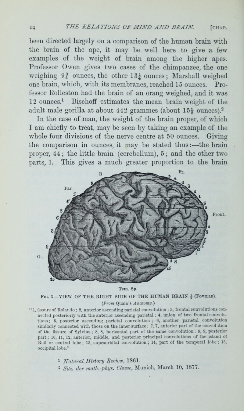 been directed largely on a comparison of the human brain with the brain of the ape, it may be well here to give a few examples of the weight of brain among the higher apes. Professor Owen gives two cases of the chimpanzee, the one weighing 9f ounces, the other 13£ ounces; Marshall weighed one brain, which, with its membranes, reached 15 ounces. Pro- fessor Eolleston had the brain of an orang weighed, and it was 12 ounces.1 Bischoff estimates the mean brain weight of the adult male gorilla at about 442 grammes (about 15J ounces).2 In the case of man, the weight of the brain proper, of which I am chiefly to treat, may be seen by taking an example of the whole four divisions of the nerve centre at 50 ounces. Giving the comparison in ounces, it may be stated thus:—the brain proper, 44; the little brain (cerebellum), 5; and the other two parts, 1. This gives a much greater proportion to the brain Front. Tem. Sp. Fig. 3 —VIEW OF THE RIGHT SIDE OF THE HUMAN BRAIN i (Foville). (From Quain’s Anatomy.) 1, fissure of Rolando ; 2, anterior ascending parietal convolution ; 3, frontal convolutions con- nected posteriorly with the anterior ascending parietal; 4, union of two frontal convolu- tions ; 5, posterior ascending parietal convolution ; 6, another parietal convolution similarly connected with those on the inner surface ; 7,7, anterior part of the eonvol ition of the fissure of Sylvius; 8, 8, horizontal part of the same convolution; 9, 9, posterior part; 10, 11, 12, anterior, middle, and posterior principal convolutions of the island of Reil or central lobe; 13, supraorbital convolution; 14, part of the temporal lobe; 15, occipital lobe.” 1 Natural History Revieic, 1861. 3 Sitz. der matli.-phys. Classe, Munich, March 10, 1ST7.
