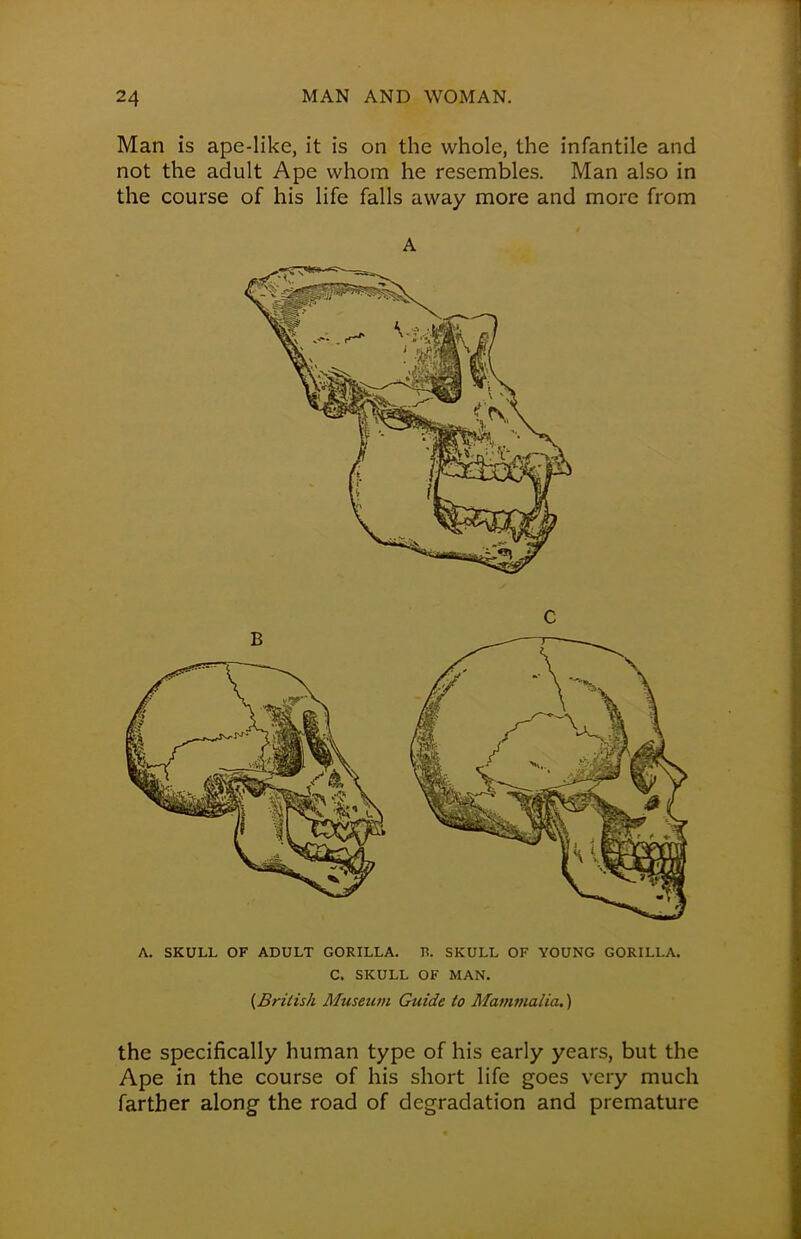 Man is ape-like, it is on the whole, the infantile and not the adult Ape whom he resembles. Man also in the course of his life falls away more and more from A A. SKULL OF ADULT GORILLA. B. SKULL OF YOUNG GORILLA. C. SKULL OF MAN. {.British Museum Guide to Mammalia.) the specifically human type of his early years, but the Ape in the course of his short life goes very much farther along the road of degradation and premature