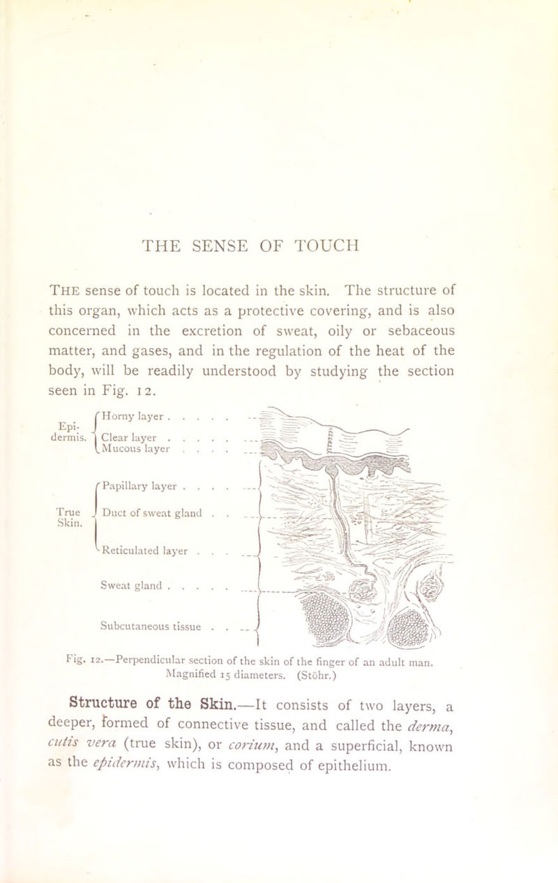 THE SENSE OF TOUCH The sense of touch is located in the skin. The structure of this organ, which acts as a protective covering, and is also concerned in the excretion of sweat, oily or sebaceous matter, and gases, and in the regulation of the heat of the body, will be readily understood by studying the section seen in Fig. 12. j Horny layer Epi dermis. I Clear layer I Mucous layer Papillary layer . . Duct of sweat gland > Reticulated layer . Sweat gland . . . Subcutaneous tissue True Skin. Fig. 12.—Perpendicular section of the skin of the finger of an adult man. Magnified 15 diameters. (Stiihr.) Structure of the Skin.—It consists of two layers, a deeper, formed of connective tissue, and called the derma, cutis vera (true skin), or corium, and a superficial, known as the epidermis, which is composed of epithelium.