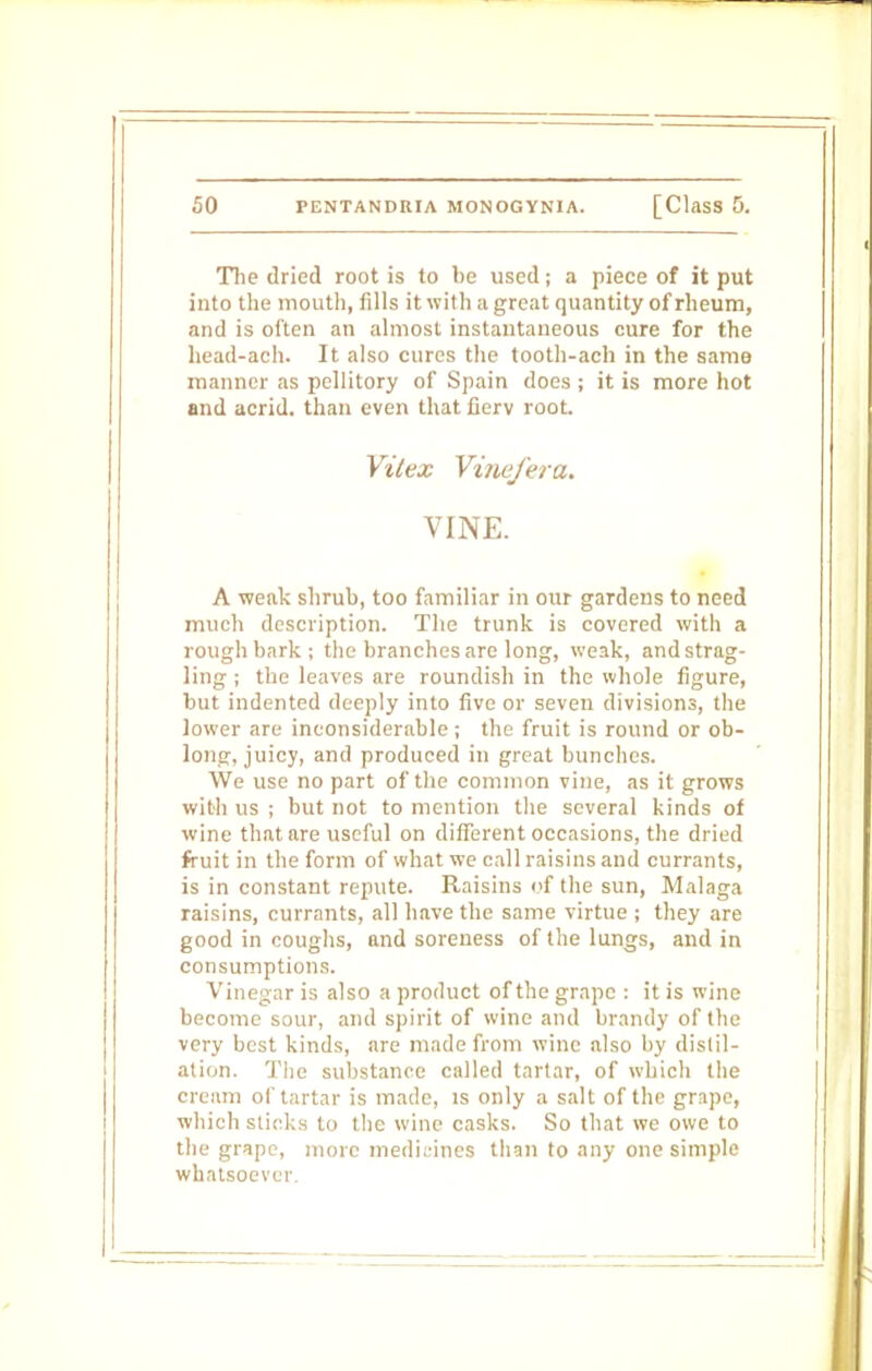 The dried root is to be used; a piece of it put into the mouth, fills it with a great quantity of rheum, and is often an almost instantaneous cure for the head-ach. It also cures the tooth-ach in the same manner as pellitory of Spain does ; it is more hot and acrid, than even that fierv root. Vitex Vina/era. VINE. A weak shrub, too familiar in our gardens to need much description. The trunk is covered with a rough bark; the branches are long, weak, andstrag- ling ; the leaves are roundish in the whole figure, but indented deeply into five or seven divisions, the lower are inconsiderable; the fruit is round or ob- long, juicy, and produced in great bunches. We use no part of the common vine, as it grows with us ; but not to mention the several kinds of wine that are useful on different occasions, the dried fruit in the form of what we call raisins and currants, is in constant repute. Raisins of the sun, Malaga raisins, currants, all have the same virtue ; they are good in coughs, and soreness of the lungs, and in consumptions. Vinegar is also a product of the grape : it is wine become sour, and spirit of wine and brandy of the very best kinds, are made from wine also by distil- ation. The substance called tartar, of which the cream of tartar is made, is only a salt of the grape, which sticks to the wine casks. So that we owe to the grape, more medicines than to any one simple whatsoever.