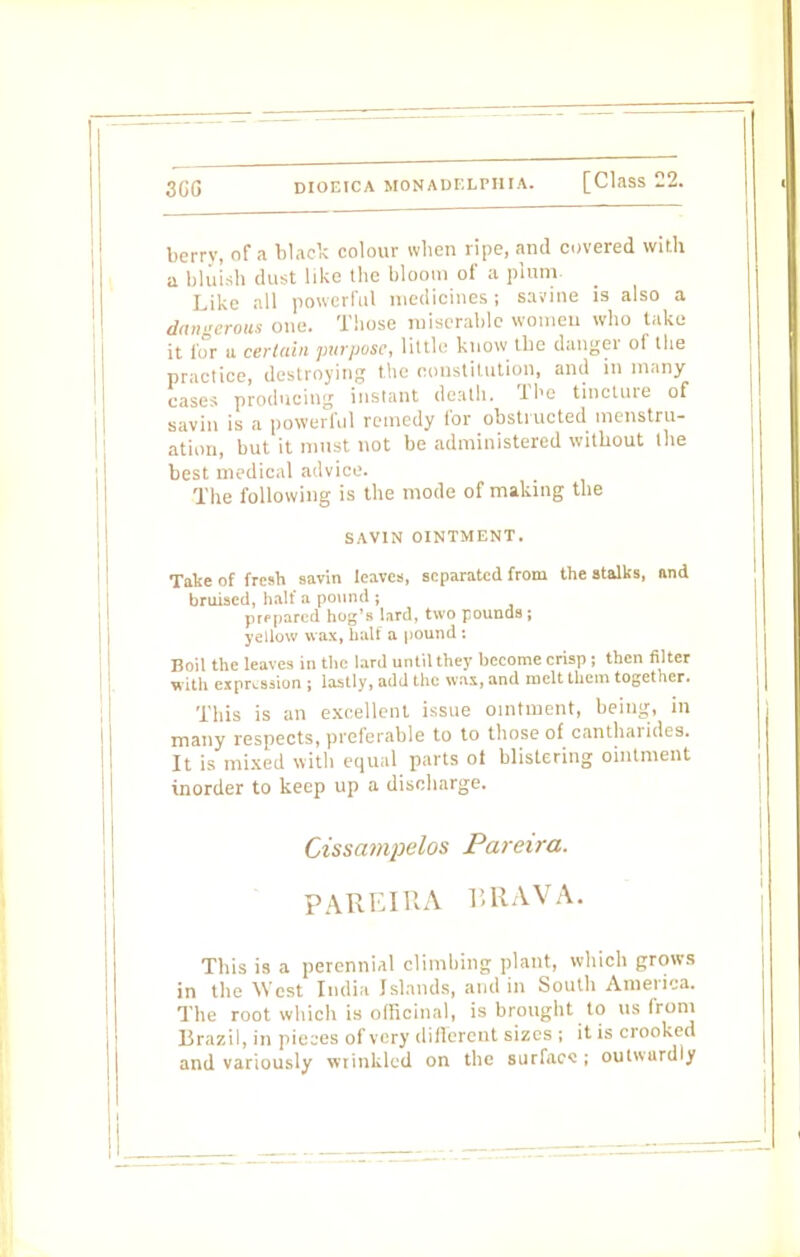 3UG berrv, of a black colour when ripe, and covered with a bluish dust like the bloom of ;i plum. Like all powerful medicines; savine is also a dangerous one. Those miserable women who take it for a certain purpose, little know the danger of the practice, destroying the constitution, and in many cases producing instant death. The tincture of savin is a powerful remedy for obstructed menstru- ation, but it must not be administered without the best medical advice. The following is the mode of making the SAVIN OINTMENT. Take of fresh savin leaves, separated from the stalks, and bruised, half a pound ; prepared hog's lard, two pounds ; yellow wax, half a pound : Boil the leaves in the lard until they become crisp ; then filter With expression ; lastly, add the wax, and melt them together. This is an excellent issue ointment, being, in many respects, preferable to to those of cantharides. It is mixed with equal parts ot blistering ointment inorder to keep up a discharge. Cissampelos Pareira. PAREIRA BRAVA. This is a perennial climbing plant, which grows in the West India Islands, and in South America. The root which is officinal, is brought to us from Brazil, in pieces of very different sizes ; it is crooked and variously wrinkled on the surfacs; outwardly