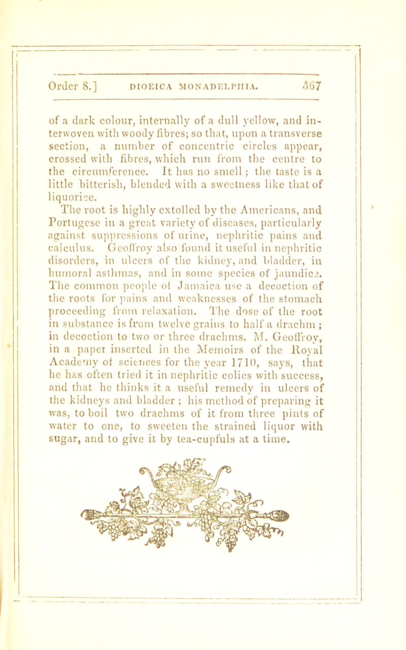 of a dark colour, internally of a dull yellow, and in- terwoven with woody fibres; so that, upon a transverse section, a number of concentric circles appear, crossed with fibres, which run from the centre to the circumference. It has no smell ; the taste is a little bitterish, blended with a sweetness like that of liquorice. The root is highly extolled by the Americans, and Portugese in a great variety of diseases, particularly against suppressions of urine, nephritic pains and calculus. C eollroy also found it useful in nephritic disorders, in ulcers of the kidney, and bladder, in humoral asthmas, and in some species of jauudics. The common people ol Jamaica use a decoction of the roots for pains and weaknesses of the stomach proceeding from relaxation. The dose of the root in substance is from twelve grains to half a drachm ; in decoction to two or three drachms. M. Geolli oy, in a paper inserted in the Memoirs of the ltoyal Academy of sciences for the year 1710, says, that he has often tried it in nephritic colics with success, and that he thinks it a useful remedy in ulcers of the kidneys and bladder; his method of preparing it was, to boil two drachms of it from three pints of water to one, to sweeten the strained liquor with sugar, and to give it by tea-cupfuls at a time.