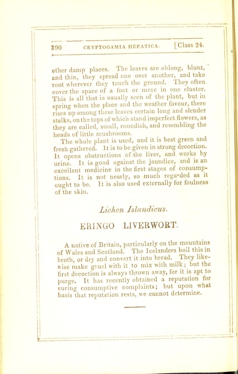 890 other damp places. The leaves are oblong, blunt, and thin, they spread one over another, and take root wherever they touch the ground. They often cover the space of a foot or mote in one cluster. This is all that is usually seen of the plant, but in spring when the place and the weather favour, there rises up among these leaves certain long and slender stalks, on the tops of which stand imperfect flowers, as they are called, small, roundish, and resembling the heads of little mushrooms. The whole plant is used, and it is best green and fresh gathered. It is to be given in strong decoction. It opens obstructions of the liver, and works by urine. It is good against the jaundice, and is an excellent medicine in the first stages of consump- tions. It is not nearly, so much regarded as it ought to be. It is also used externally for foulness of the skin. Lichen Islandicus. ER1NUO LIVERWORT. A native of Britain, particularly on the mountains of Wales and Scotland. The Icelanders boil this in broth, or dry and convert it into bread. They like- wise make giuel with it to mix with milk; but the first decoction is always thrown away, for it is apt to purge. It has recently obtained a reputation for curing consumptive complaints; but upon what basis that reputation rests, we caunot determine.