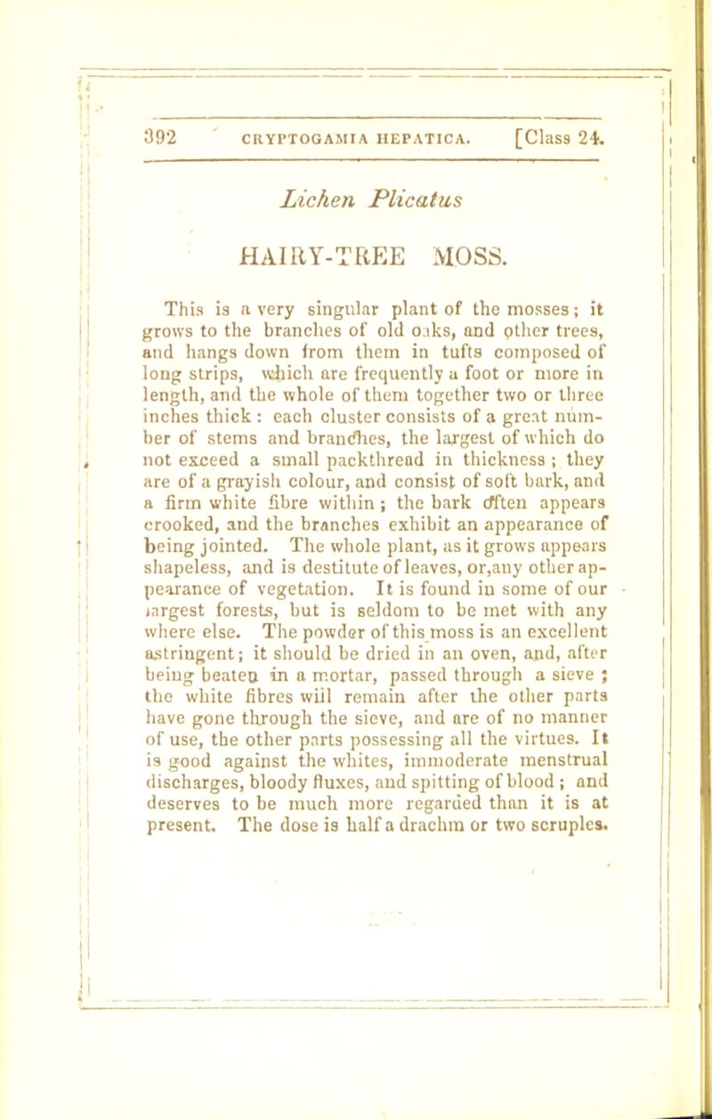Lichen Plicatus HAIRY-TREE MOSS. This is a very singular plant of the mosses; it grows to the branches of old o.iks, and other trees, and hangs down from them in tufts composed of long strips, which are frequently a foot or more in length, and the whole of them together two or three inches thick : each cluster consists of a great num- ber of stems and branches, the largest of which do not exceed a small packthread in thickness ; they are of a grayish colour, and consist of soft bark, and a firm white fibre within ; the bark often appears crooked, and the branches exhibit an appearance of being jointed. The whole plant, as it grows appears shapeless, and is destitute of leaves, or,any other ap- pearance of vegetation. It is found iu some of our largest forests, but is seldom to be met with any where else. The powder of this moss is an excellent astringent; it should be dried in an oven, and, after being beaten in a mortar, passed through a sieve ; the white fibres will remain after the other parts have gone through the sieve, and are of no manner of use, the other parts possessing all the virtues. It is good against the whites, immoderate menstrual discharges, bloody fluxes, and spitting of blood ; and deserves to be much more regarded than it is at present. The dose is half a drachm or two scruples.