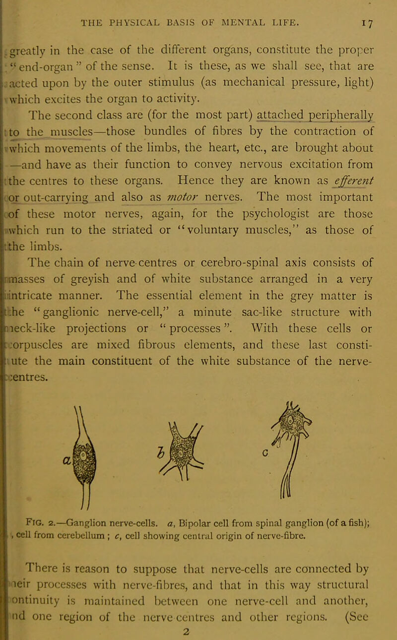 .greatly in the case of the different organs, constitute the proper “end-organ” of the sense. It is these, as we shall see, that are acted upon by the outer stimulus (as mechanical pressure, light) which excites the organ to activity. The second class are (for the most part) attached peripherally to the muscles—those bundles of fibres by the contraction of which movements of the limbs, the heart, etc., are brought about —and have as their function to convey nervous excitation from the centres to these organs. Hence they are known as efferent or out-carrying and also as motor nerves. The most important of these motor nerves, again, for the psychologist are those : which run to the striated or “voluntary muscles,” as those of :the limbs. The chain of nerve-centres or cerebro-spinal axis consists of masses of greyish and of white substance arranged in a very intricate manner. The essential element in the grey matter is .he “ganglionic nerve-cell,” a minute sac-like structure with neck-like projections or “ processes ”. With these cells or : :orpuscles are mixed fibrous elements, and these last consti- ■ ute the main constituent of the white substance of the nerve- ::entres. Fig. 2.—Ganglion nerve-cells, a, Bipolar cell from spinal ganglion (of a fish); , cell from cerebellum ; c, cell showing central origin of nerve-fibre. There is reason to suppose that nerve-cells are connected by leir processes with nerve-fibres, and that in this way structural ontinuity is maintained between one nerve-cell and another, nd one region of the nerve centres and other regions. (See 2