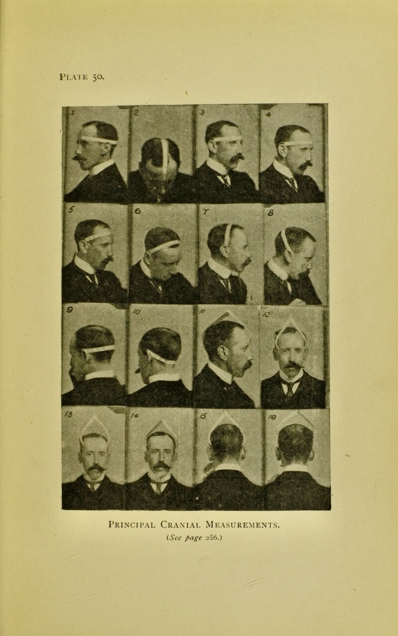 Principal Cranial Measurements. (See page 2S6.)