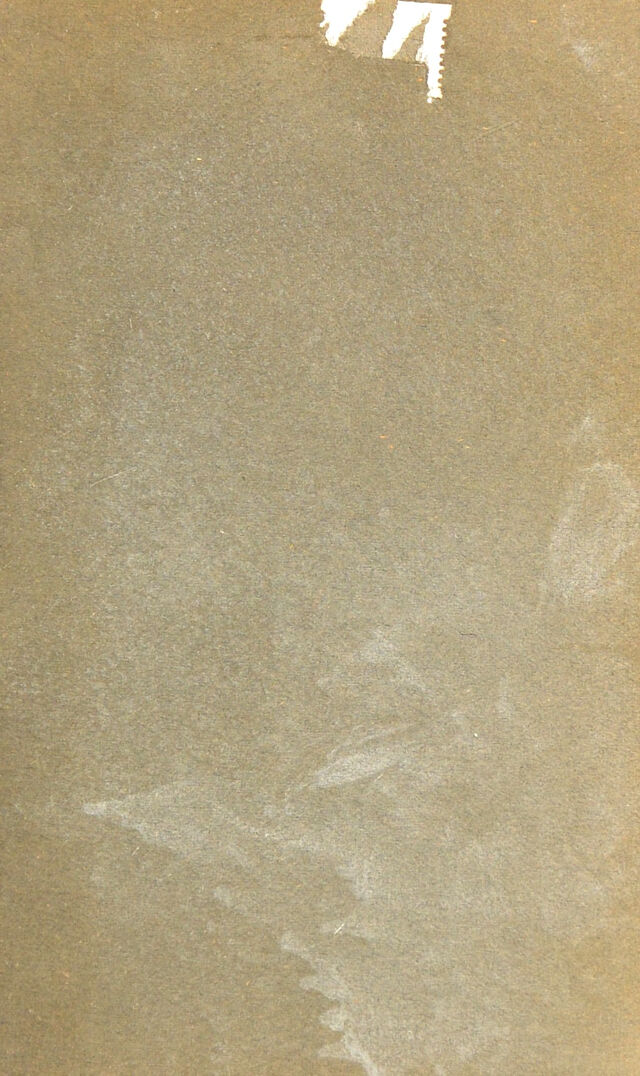 digitised image 3