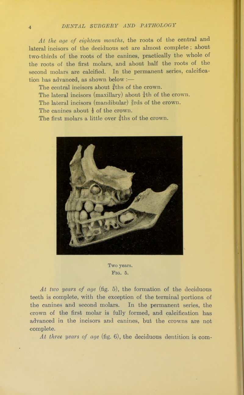 At the age of eighteen months, the roots of the central and lateral incisors of the deciduous set are almost complete ; about two-thirds of the roots of the canines, practically the whole of the roots of the first molars, and about half the roots of the second molars are calcified. In the permanent series, calcifica- tion has advanced, as shown below :— The central incisors about f ths of the crown. The lateral incisors (maxillary) about ith of the crown. The lateral incisors (mandibular) frds of the crown. The canines about \ of the crown. The first molars a little over fths of the crown. Two years. Fig. 5. At two years of age (fig. 5), the formation of the deciduous teeth is complete, with the exception of the terminal portions of the canines and second molars. In the permanent series, the crown of the first molar is fully formed, and calcification has advanced in the incisors and canines, but the crowns are not complete. At three years of age (fig. 6), the deciduous dentition is com-