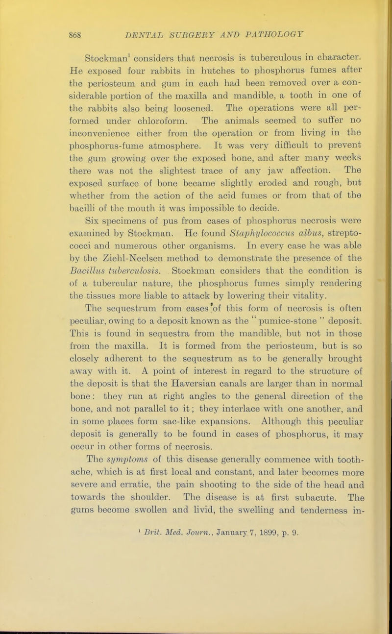Stockman1 considers that necrosis is tuberculous in character. He exposed four rabbits in hutches to phosphorus fumes after the periosteum and gum in each had been removed over a con- siderable portion of the maxilla and mandible, a tooth in one of the rabbits also being loosened. The operations were all per- formed under chloroform. The animals seemed to suffer no inconvenience either from the operation or from living in the phosphorus-fume atmosphere. It was very difficult to prevent the gum growing over the exposed bone, and after many weeks there was not the slightest trace of any jaw affection. The exposed surface of bone became slightly eroded and rough, but whether from the action of the acid fumes or from that of the bacilli of the mouth it was impossible to decide. Six specimens of pus from cases of phosphorus necrosis were examined by Stockman. He found Staphylococcus albus, strepto- cocci and numerous other organisms. In every case he was able by the Ziehl-Neelsen method to demonstrate the presence of the Bacillus tuberculosis. Stockman considers that the condition is of a tubercular nature, the phosphorus fumes simply rendering the tissues more liable to attack by lowering their vitality. The sequestrum from cases'of this form of necrosis is often peculiar, owing to a deposit known as the  pumice-stone  deposit. This is found in sequestra from the mandible, but not in those from the maxilla. It is formed from the periosteum, but is so closely adherent to the sequestrum as to be generally brought away with it. A point of interest in regard to the structure of the deposit is that the Haversian canals are larger than in normal bone : they run at right angles to the general direction of the bone, and not parallel to it; they interlace with one another, and in some places form sac-like expansions. Although this peculiar deposit is generally to be found in cases of phosphorus, it may occur in other forms of necrosis. The synqrtoms of this disease generally commence with tooth- ache, which is at first local and constant, and later becomes more severe and erratic, the pain shooting to the side of the head and towards the shoulder. The disease is at first subacute. The gums become swollen and livid, the swelling and tenderness in-