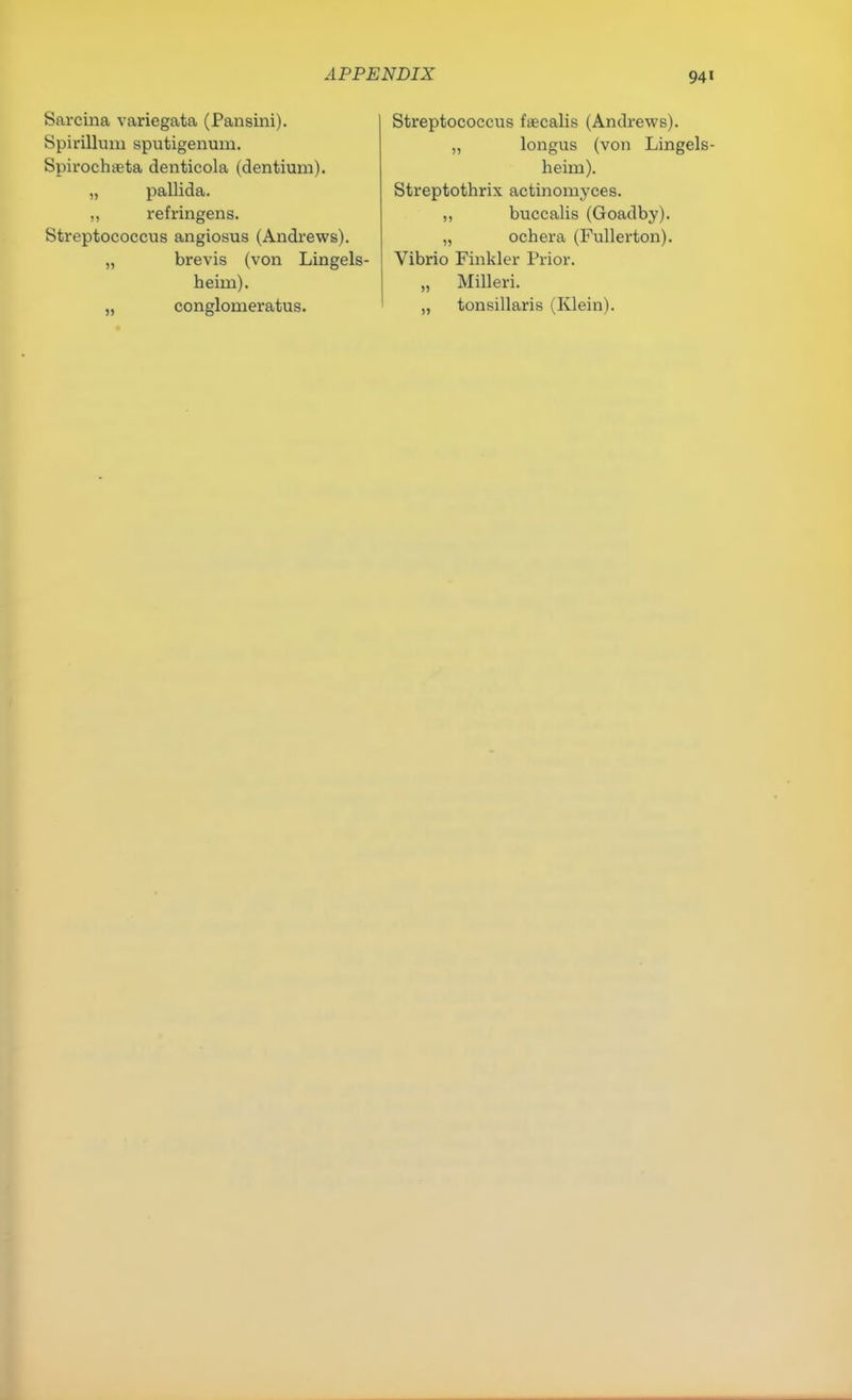 Sarcina variegata (Pansini). Spirillum sputigenum. Spirochaeta denticola (dentium). „ pallida. ,, refringens. Streptococcus angiosus (Andrews). „ brevis (von Lingels- heim). „ conglomeratus. Streptococcus faecalis (Andrews). ,, longus (von Lingels- heirn). Streptothrix actinomyces. ,, buccalis (Goadby). „ ochera (Fullerton). Vibrio Finkler Prior. „ Milleri. „ tonsillaris (Klein).